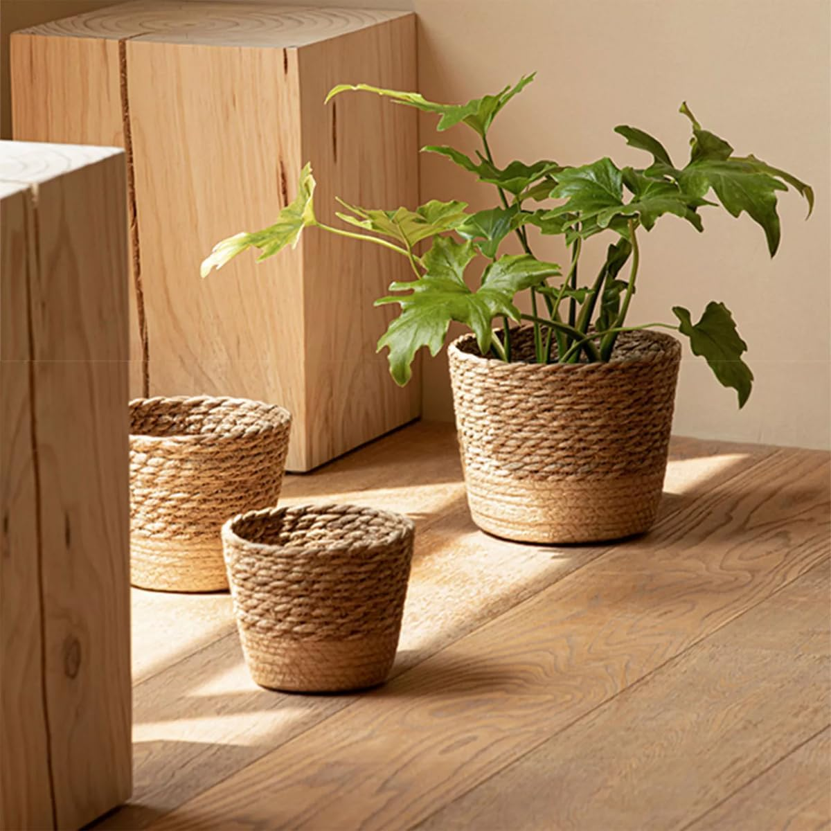 AIMALL 3Pcs Natural Seagrass Woven Planter Basket Set &ndash; Handmade Rattan Plant Pots for Indoor Greenery and Home D&eacute;cor image number 5