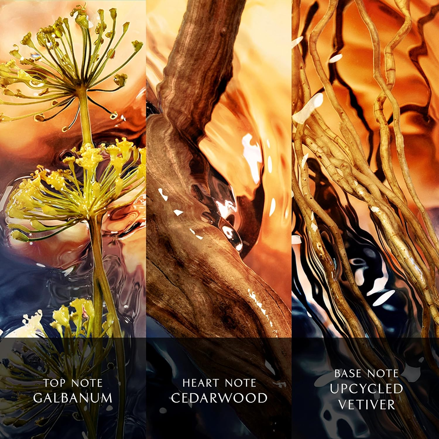 Davidoff Cool Water Reborn Man Eau De Parfum 50Ml image number 6