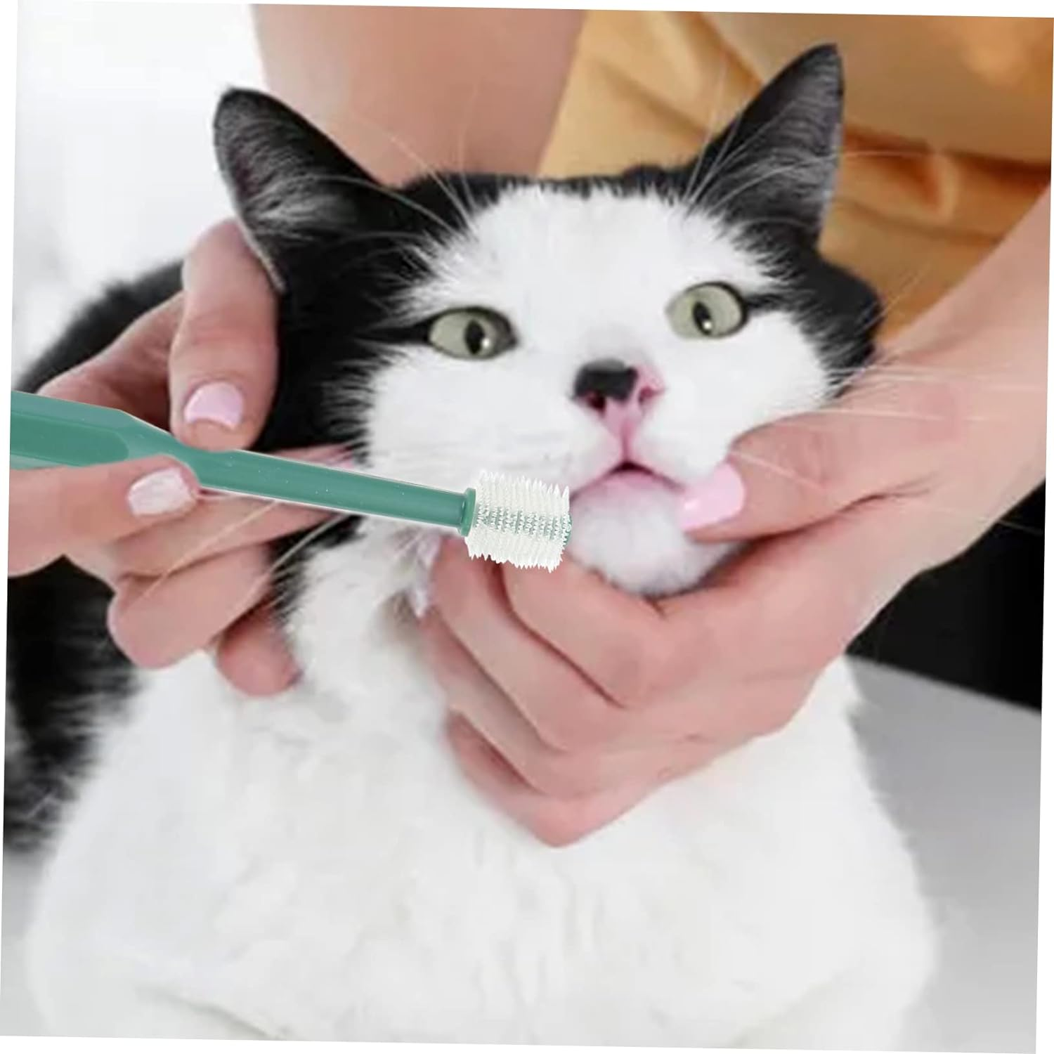 2Pcs Pet Toothbrush Dog Cat Toothpaste Pet Mouth Toothbrush Cat Finger Toothbrush Pet Teeth Plaque Remover Finger Cover Protector Puppy Cosmetic Kit Work Abs image number 6