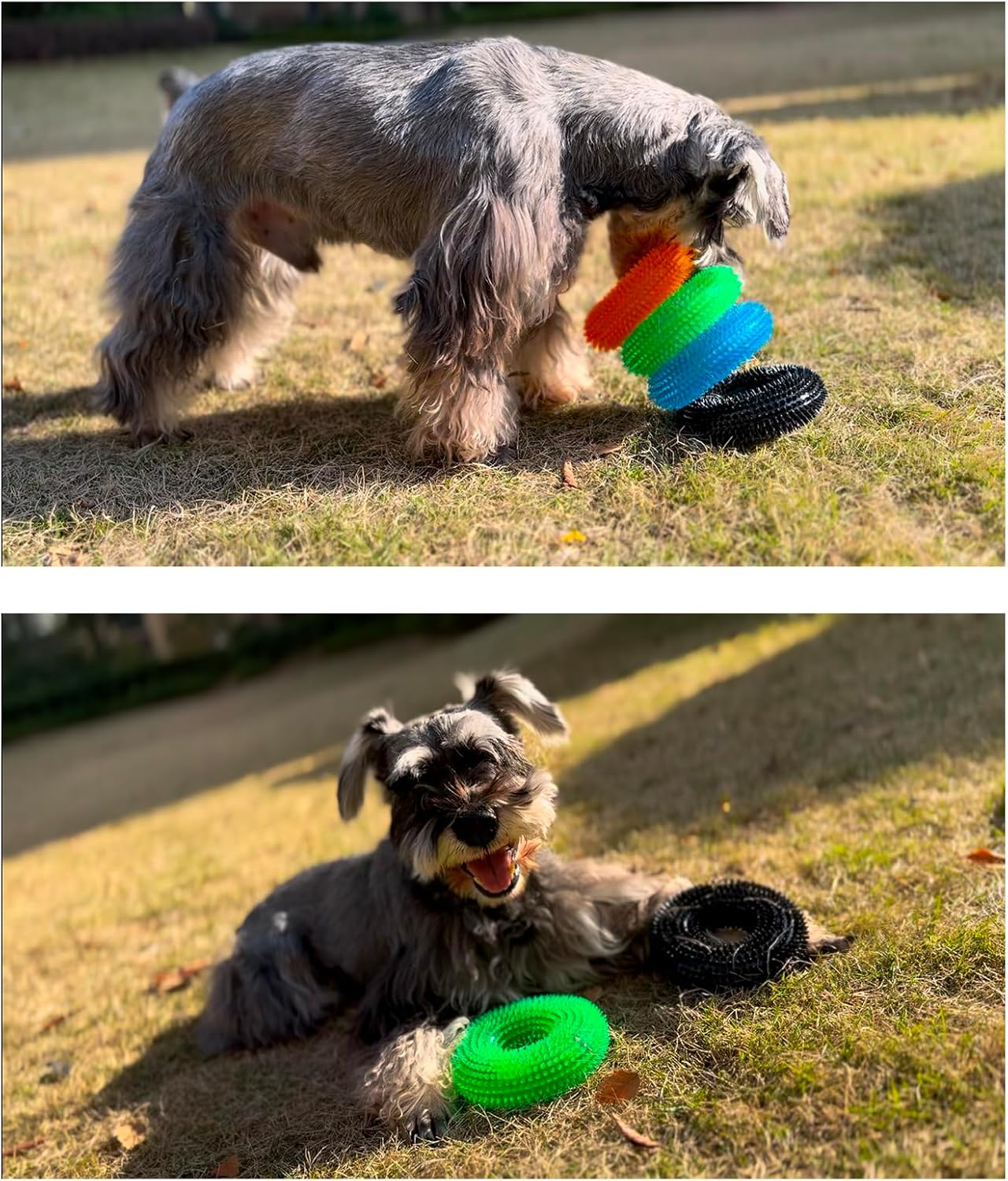 ADUCK Dog Squeaky Chew Toys for Aggressive Chewers, Small Medium Large Dogs Teeth Cleaning Soft Natural Rubber Float Toy for Indoor Outdoor Water Pool, Donut Ring Design 4.92 Inch, Crystal Blue image number 2
