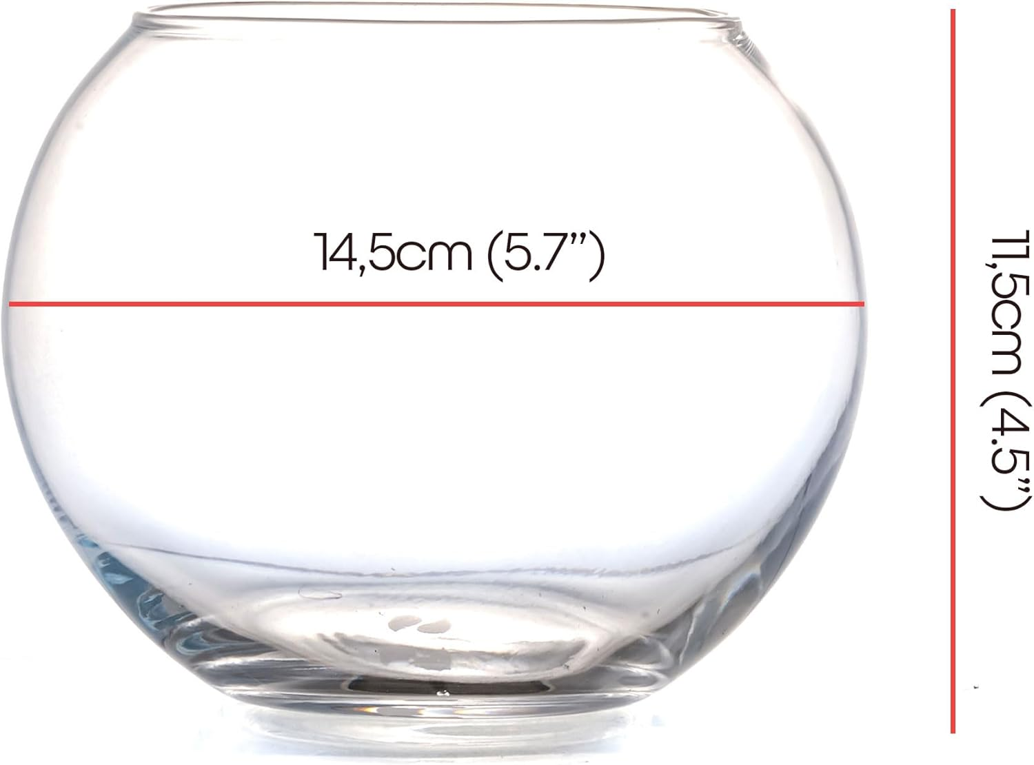 Glass Bubble Vase, Width Glass Fish Bowl Vase, Bubble Bowl Vase for Terrarium and Flower Vase image number 2