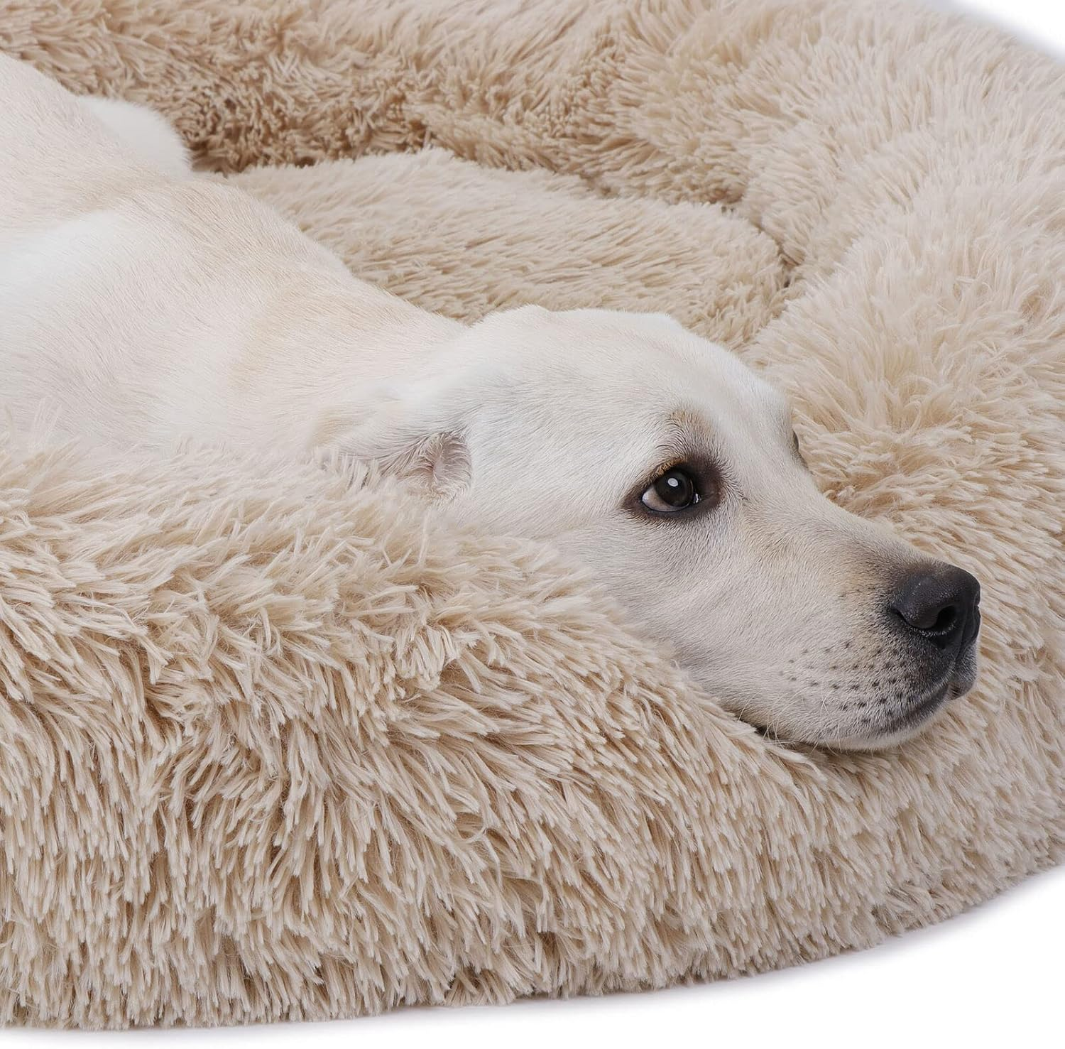 Baronhong Calming Dog Bed & Cat Bed,Anti-Anxiety Donut Dog Cuddler Bed,Warming Cozy Soft Dog round Bed,Fluffy Faux Fur Plush Dog Cat Cushion Bed for Small Medium Large Dogs and Cats(Blue,20") image number 4