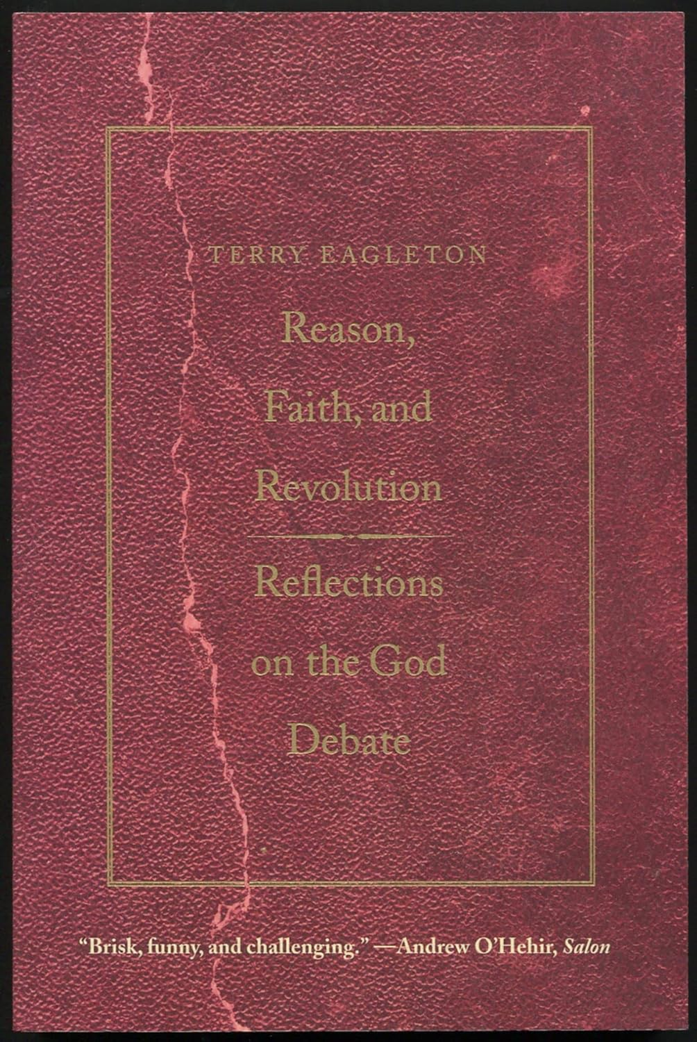 Reason, Faith, and Revolution: Reflections on the God Debate image number 1