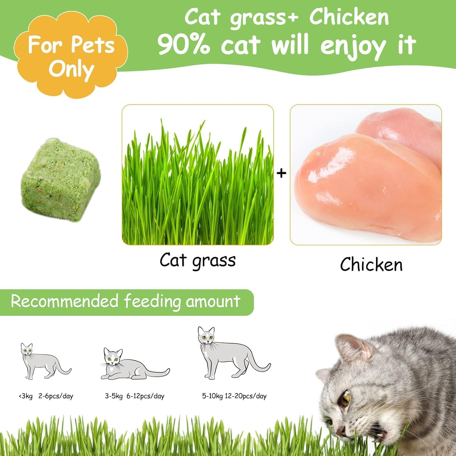 500G-Cat Grass Treats, Catnip Chew Toys for Cat, Natural Dried Snacks Grinding Rod for Indoor Kitten, Edible Cat Molar Toys for Cleaning Teeth Remove Hairball (Cat Grass Granule) image number 3