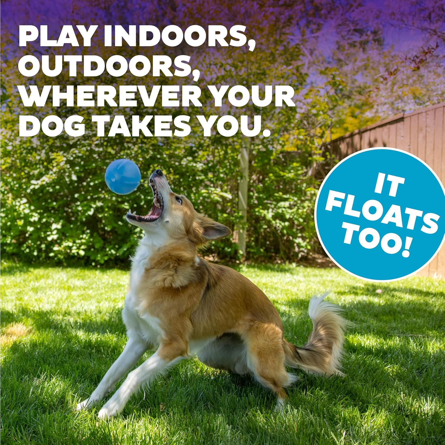 Planet Dog Orbee-Tuff Guru, New Interactive Slow Feeder Puzzle Treat Dispensing Durable Dog Chew Toy, Made in the USA, 100% Guaranteed, 4-Inch, Purple and Blue (Blue) image number 4