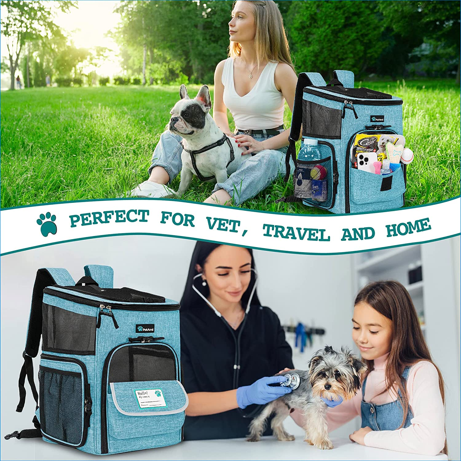 Petami Pet Carrier Backpack for Small Cats, Dogs, Puppies | Ventilated Structured Frame, 4 Way Entry, Safety and Soft Cushion Back Support | Collapsible for Travel, Hiking, Outdoor (Turquoise) image number 6