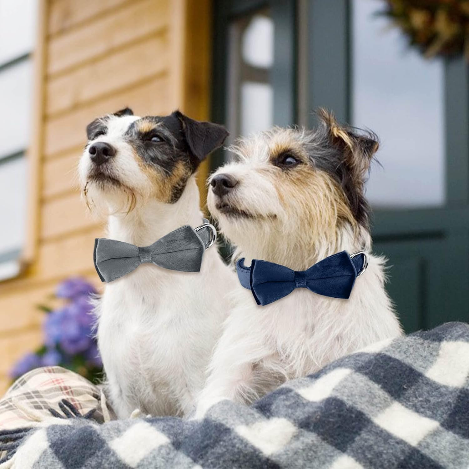 Asvin Dog Collar with Dog Bow Tie, Removable Dog Collar, Personalised Dog Collar, Zinc Alloy Link Buckle, Adjustable Dog Collar, for Dogs, Small, Medium, Large Dogs image number 2