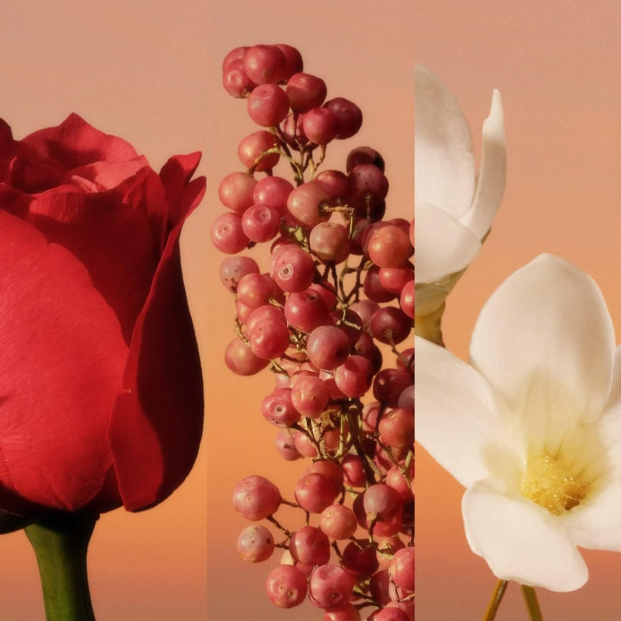 Calvin Klein Eternity Edpi Women 100Ml image number 6