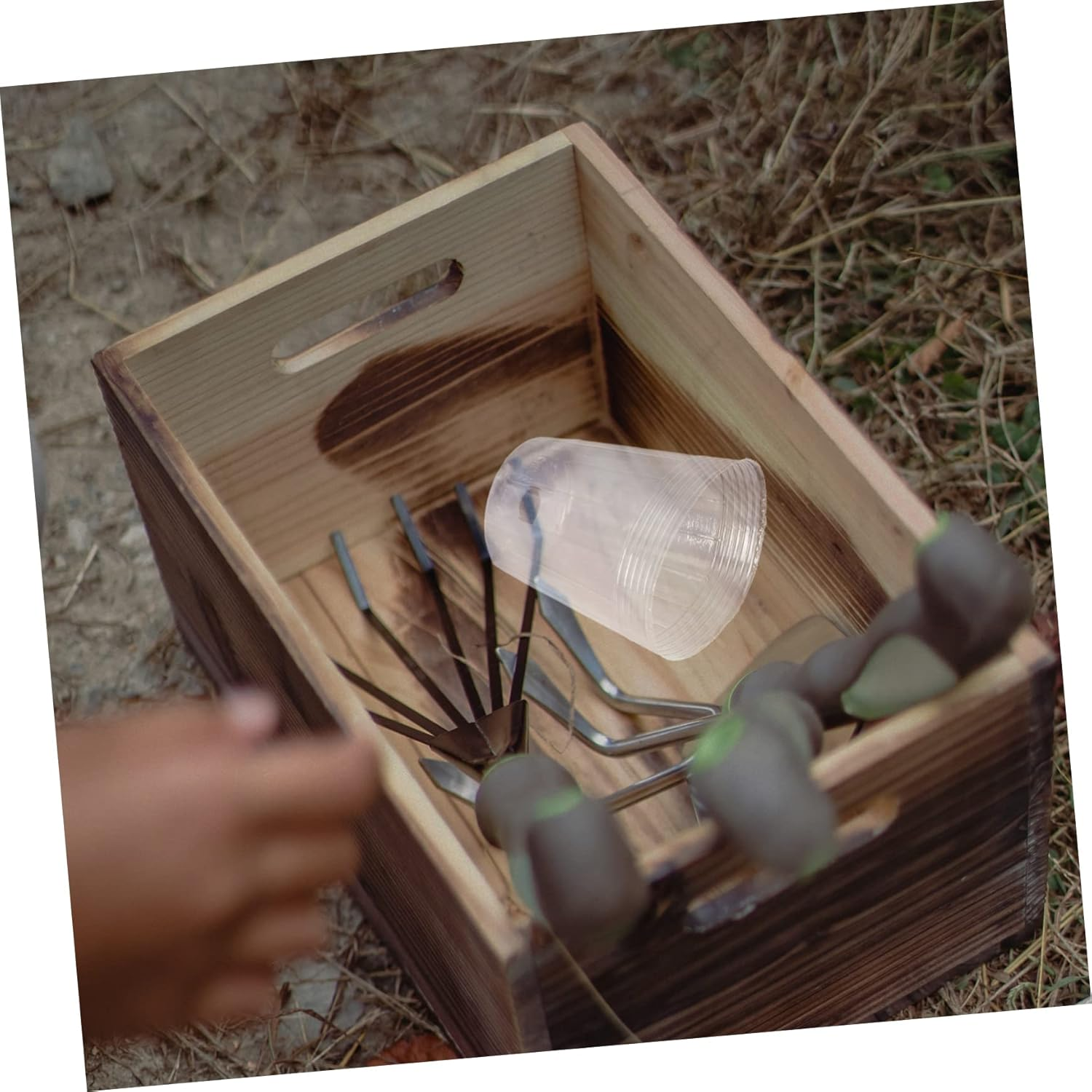 CAXUSD 30Pcs Plastic Plant Nutrient Cups for Phalaenopsis and Succulent Seedlings, 3.5-Inch Tall Gardening Nursery Pots, Outdoor and Indoor Garden Supply