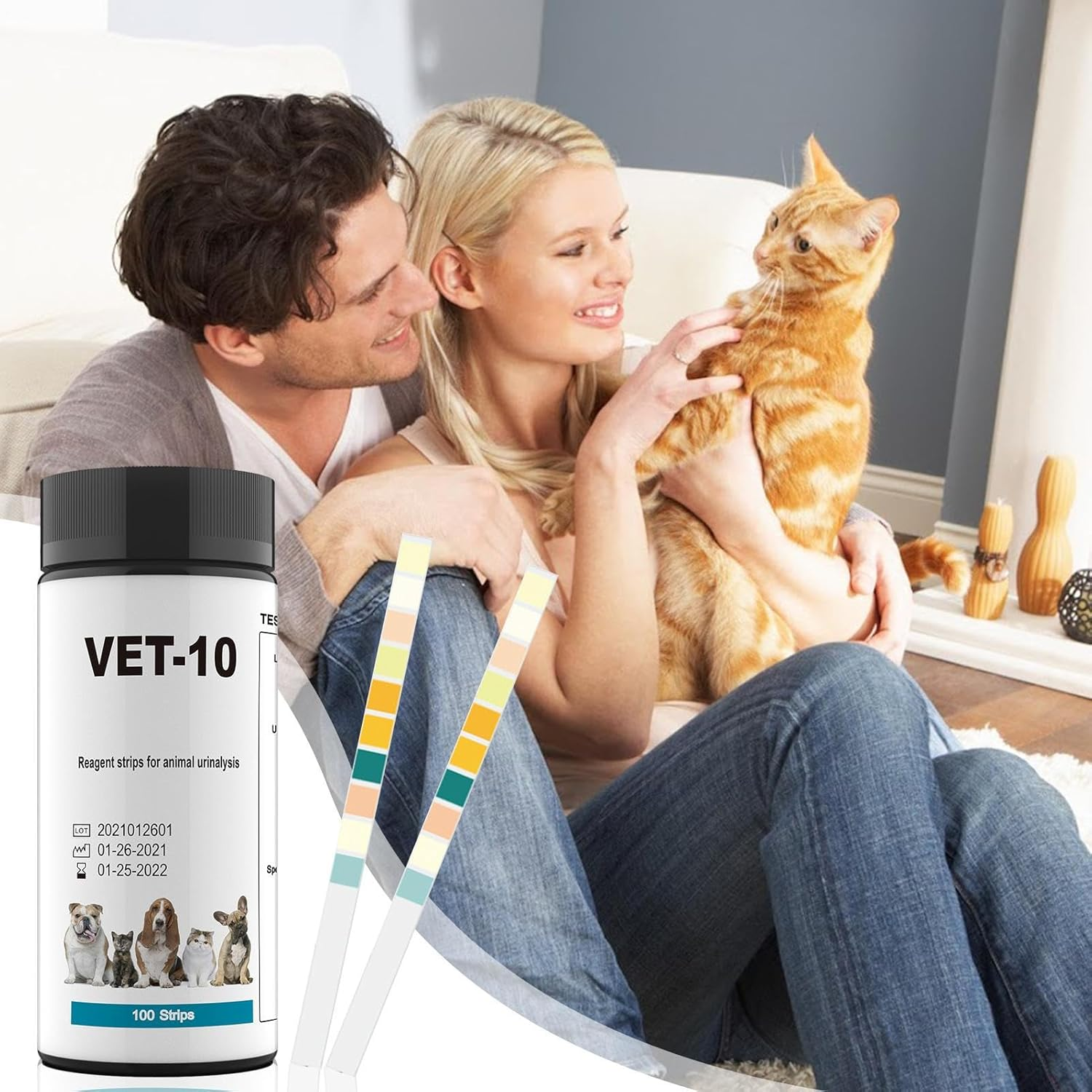 Pet Urine Test Strips - 100Pcs Accurate Kit, 10 Parameter Detection Design | Quick Diagnostic Tool for Cat Dog Rabbitt Puppy Kitten Vet Clinic Home Health Monitoring Veterinary Laboratory image number 6