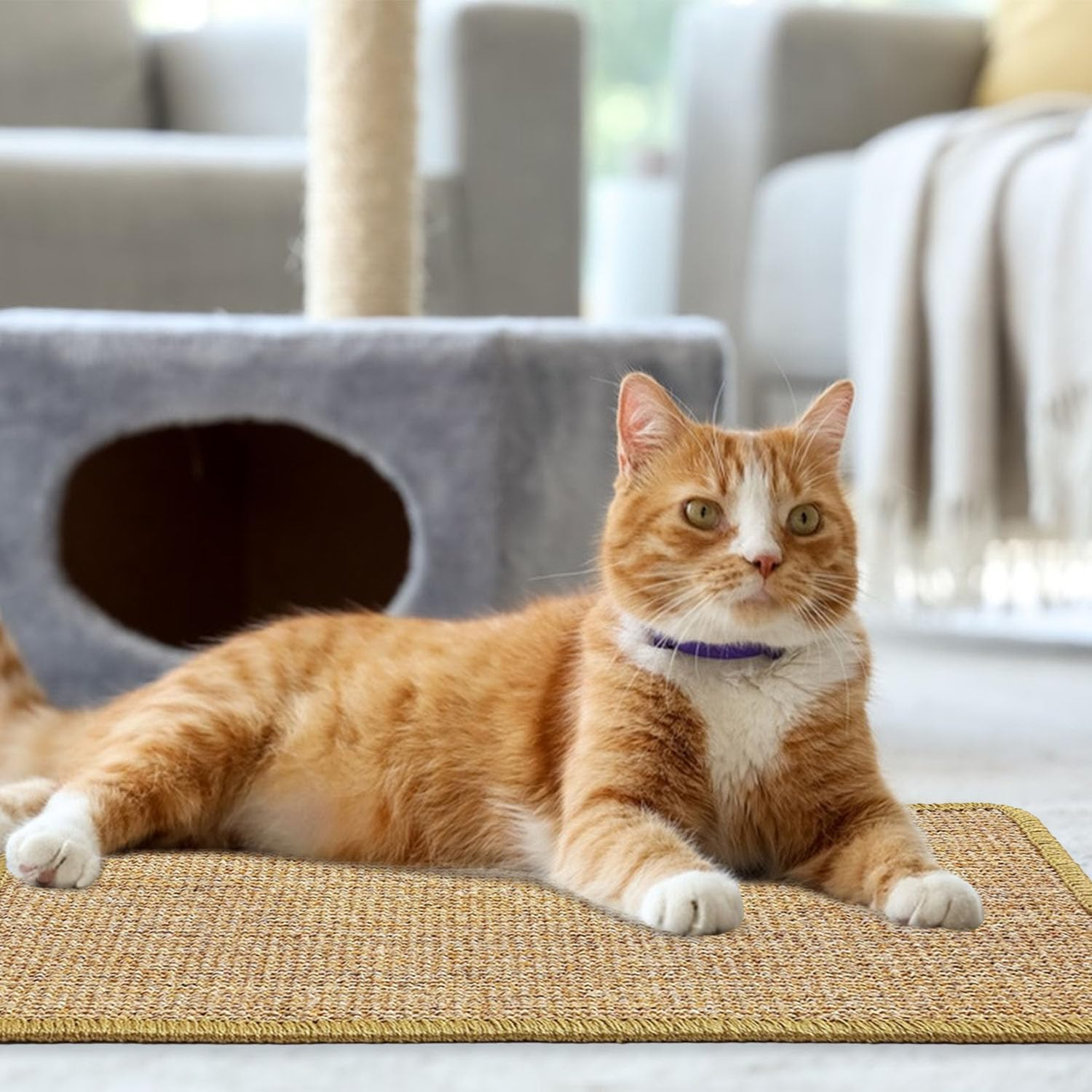 Wall Scratching Mat, 2 Pieces Cat Scratching Mat, 50 X 25 Cm, Natural Cat Scratching Mat, Wall, Free from Chemicals, Sisal Carpet, Cats, Cat Scratching Mat for Sofas, Wall and Bed image number 6