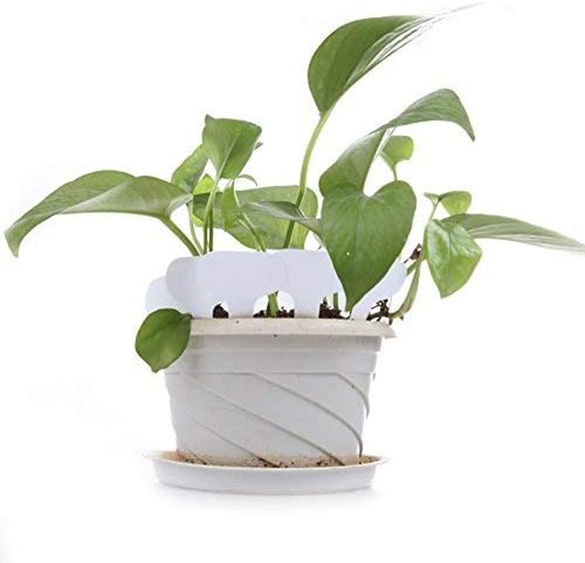KINGLAKE 100 Pcs White Plastic Plant Labels Waterproof T-Type Plant Tag Nursery Flower Garden Labels image number 3