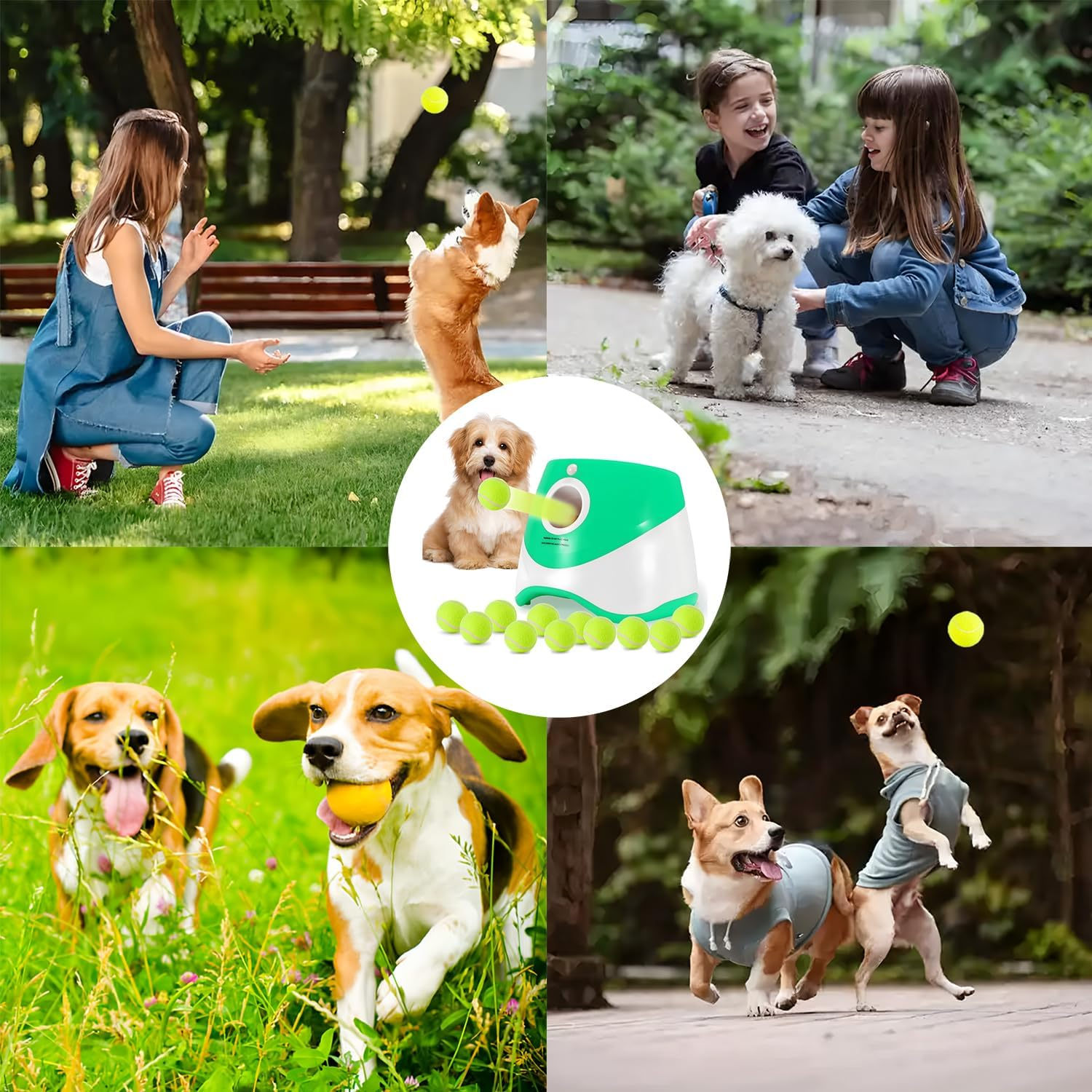 Dog Ball Thrower Launcher, Automatic Ball Launcher with 12 Mini Tennis Balls, 3 Adjustable Distance Settings, Interactive Dog Toys Tennis Ball Launcher for Indoor and Outdoor image number 1