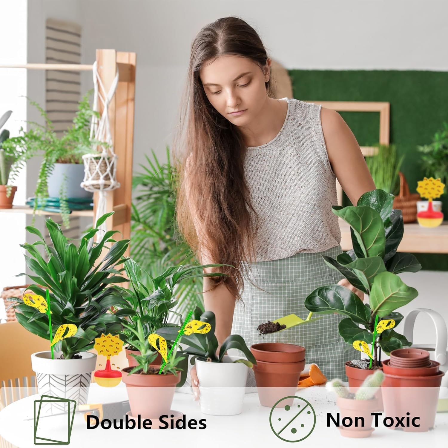 Fruit Fly Trap, Attracts and Kills Fruit Flies, Strong, Fast-Acting Attractant, 2-In-1 Reusable Indoor Fruit Fly Trap for Kitchens and Houseplants (2-Pack) image number 4