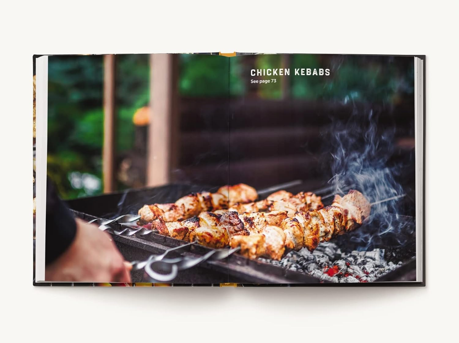 The Open Fire Cookbook: over 100 Rustic Recipes for Outdoor Cooking