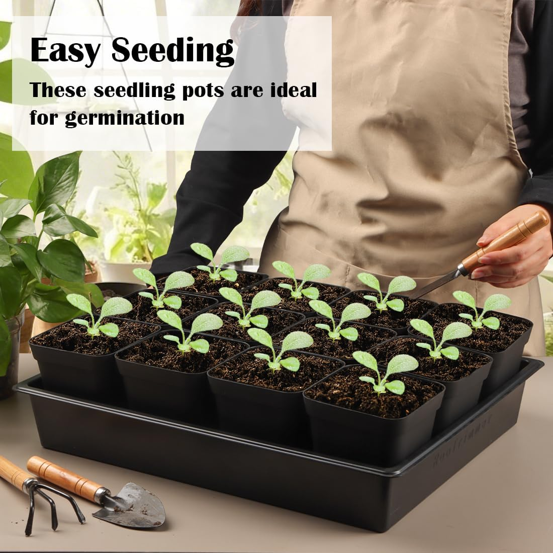 3.15 Inch (8CM) Square Nursery Pots 100 Pcs, Sturdy Seedlings Trays 5 Pcs, Seeds Starter Germination Tray, Microgreening Planter Nursery Propagation 5 Sets image number 3