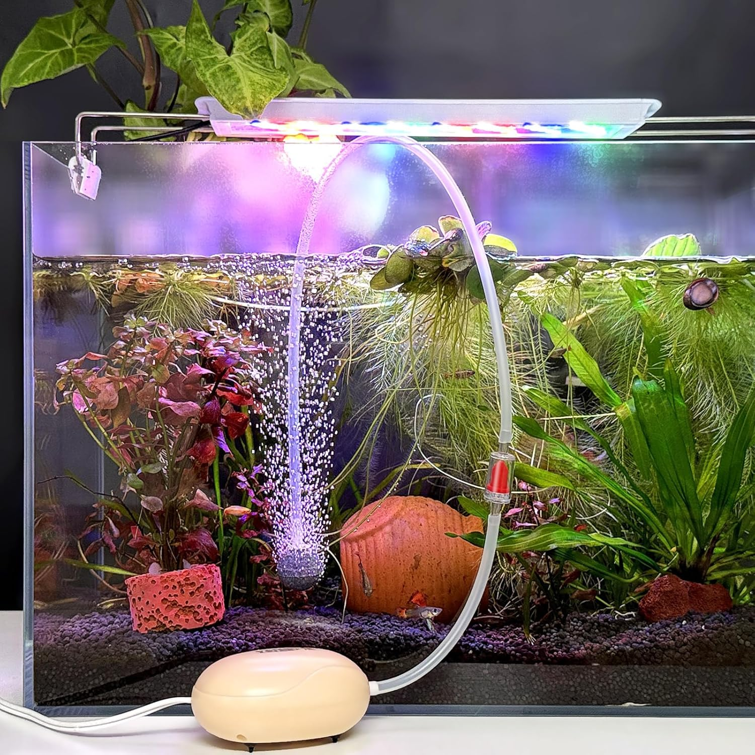 FEDOUR Mini Aquarium Air Pump, Quiet Fish Tank Oxygen Pump with Single Outlet, Aquarium Air Bubbler with Complete Accessories for up to 75L Fish Tanks, Betta Tanks, Shrimp Tanks image number 6