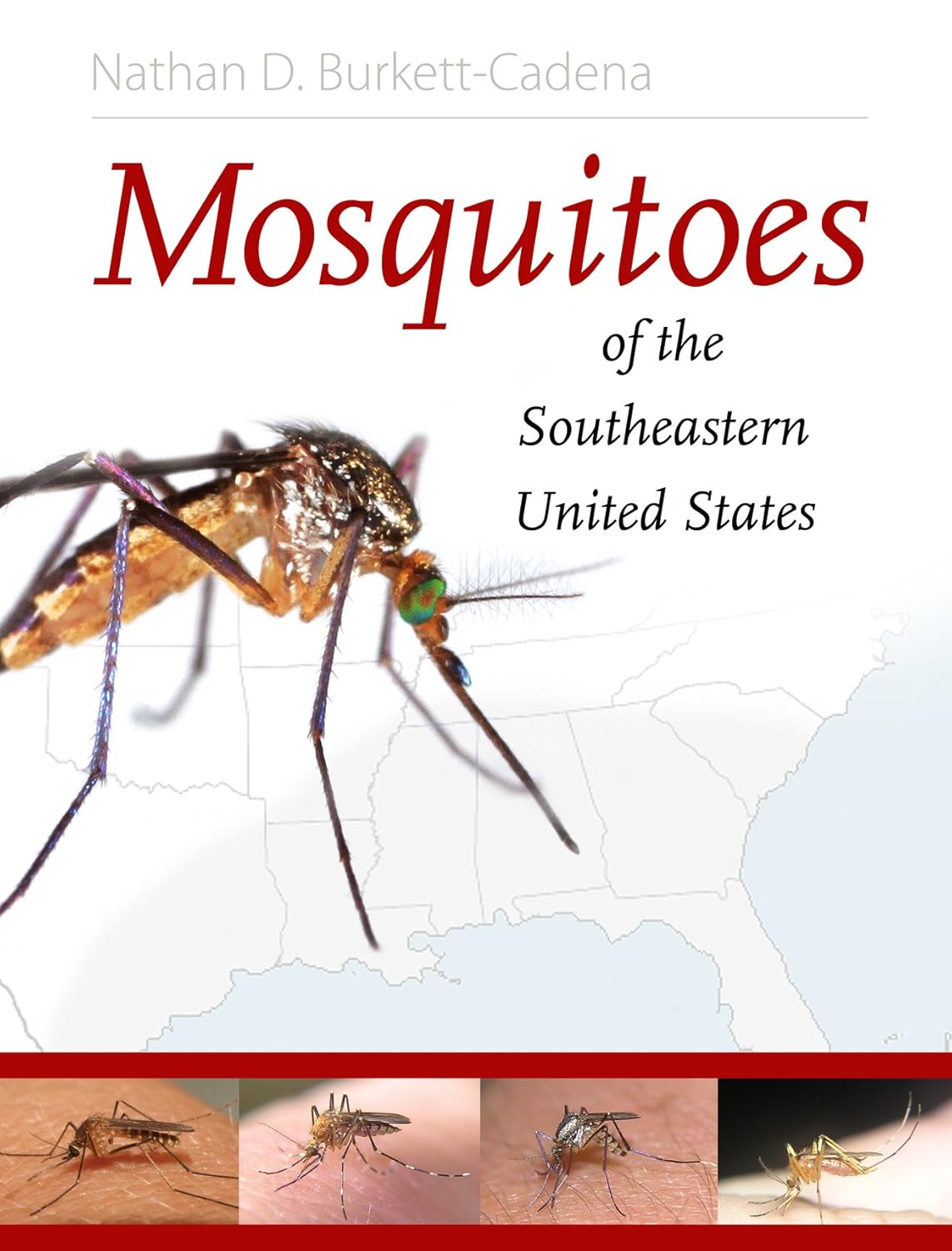 Mosquitoes of the Southeastern United States