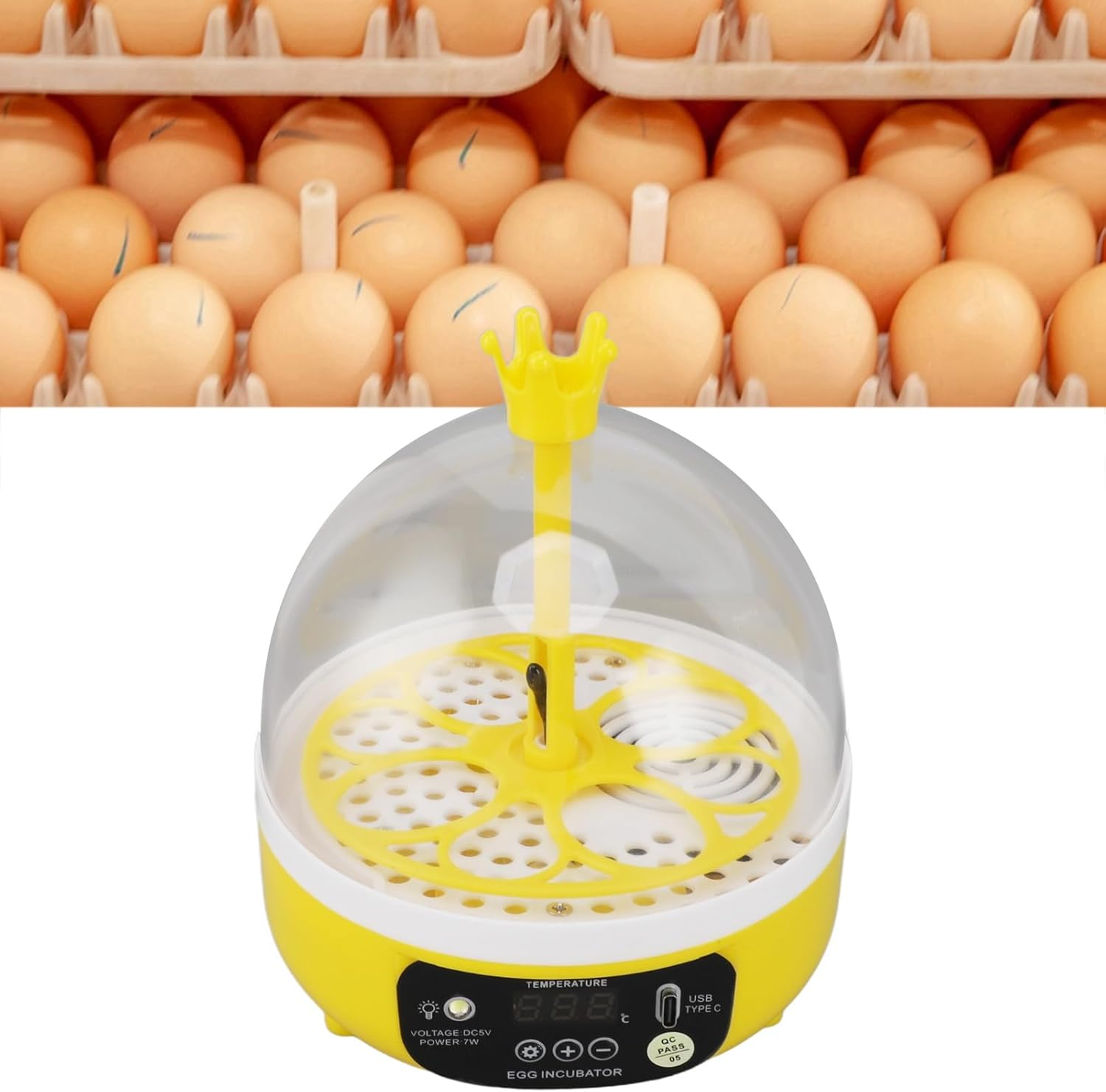 Poultry Hatching Machine Egg Incubator with ABS Transparent Lid for School (Auto Turning) image number 4