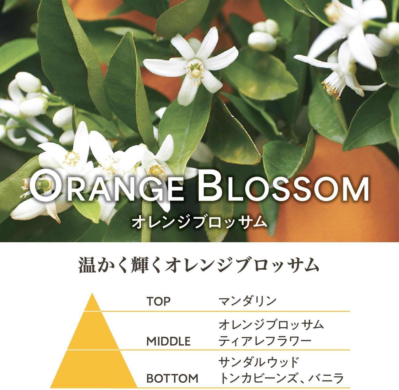 Panierdessens Orange Blossom Liquid Marseille Soap, 16.9 Fl Oz (500 Ml) (Full Body Soap, France), Present, Gift, for Women, Men, Popular, Thank You, Return, Farewell, Birthday, Mother'S Day image number 4