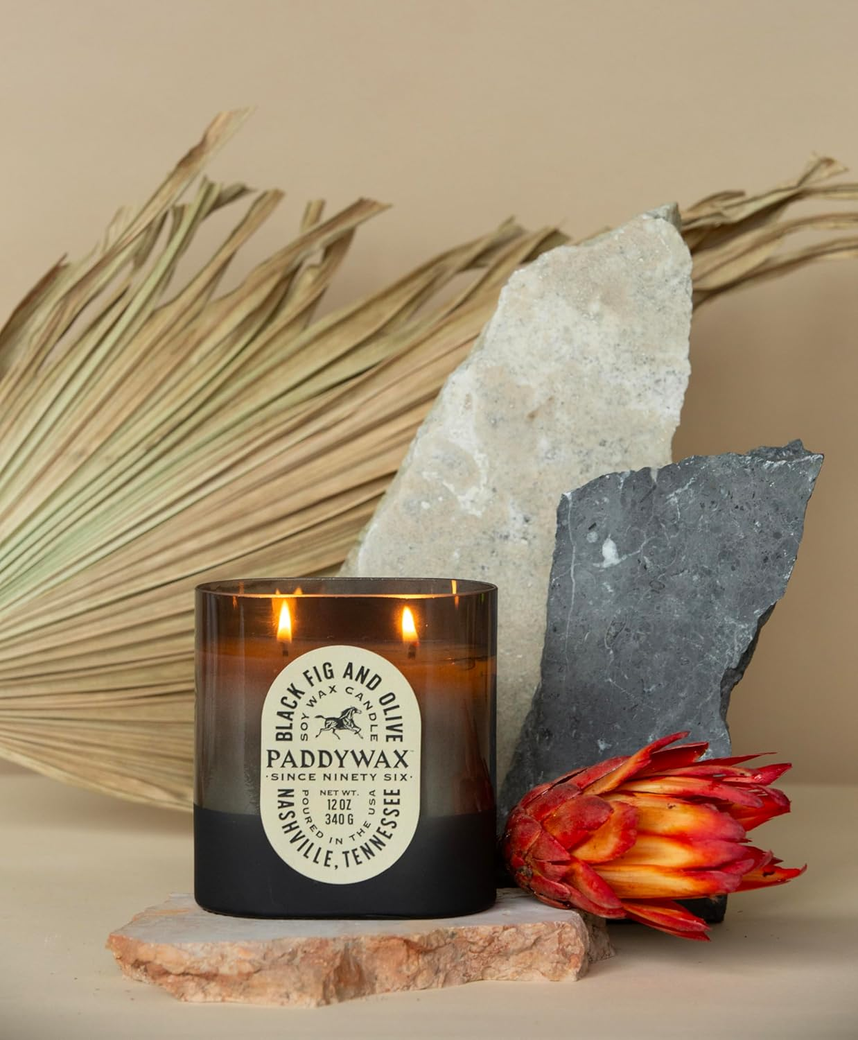 Paddywax Candles Vista Collection Scented Candle, 12-Ounce, Black Fig & Olive, 12 Ounces image number 4