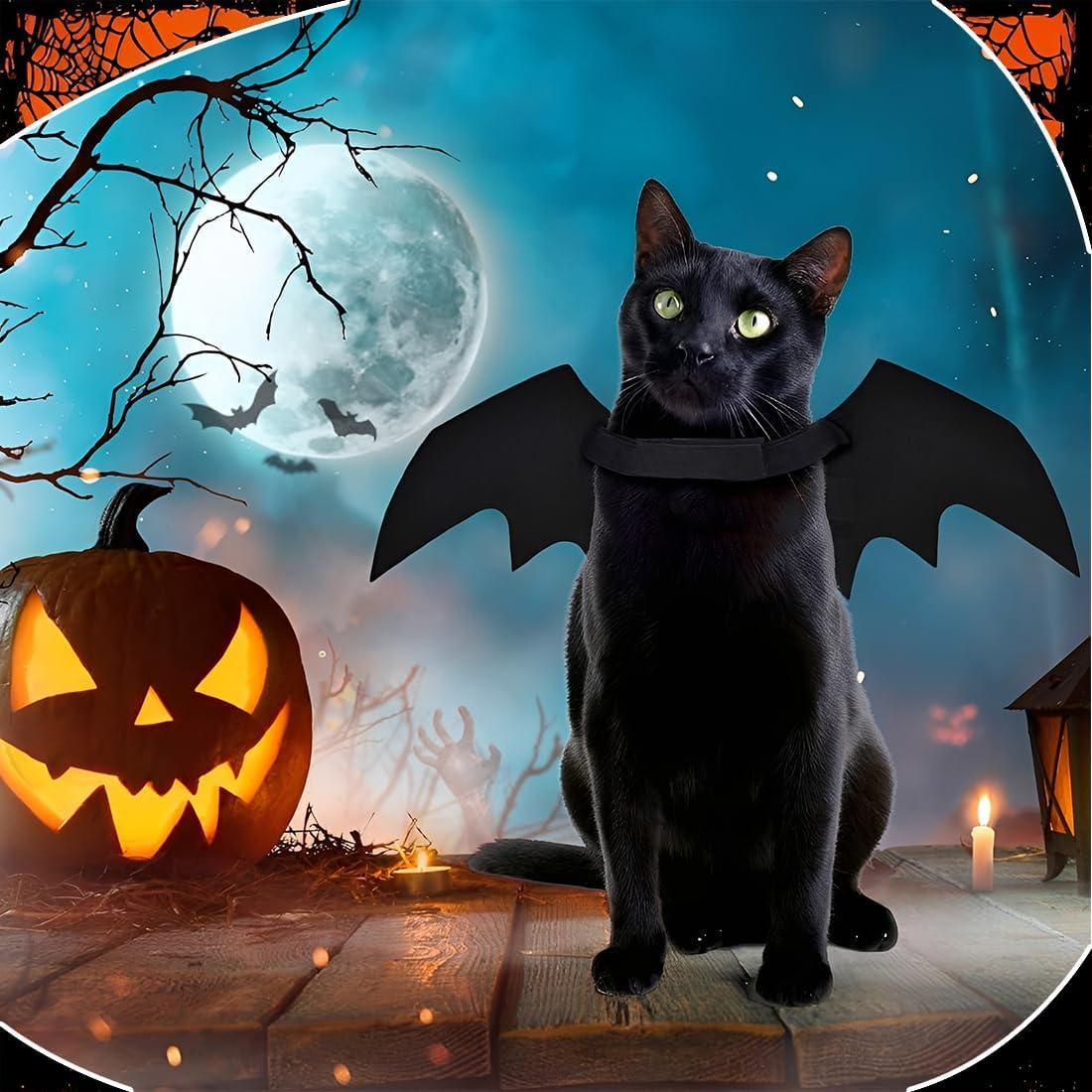 JYNVO Bat Wings Cat, Halloween Bat Costume for Cats and Dogs, Black Cat Bat Costume, Felt image number 3