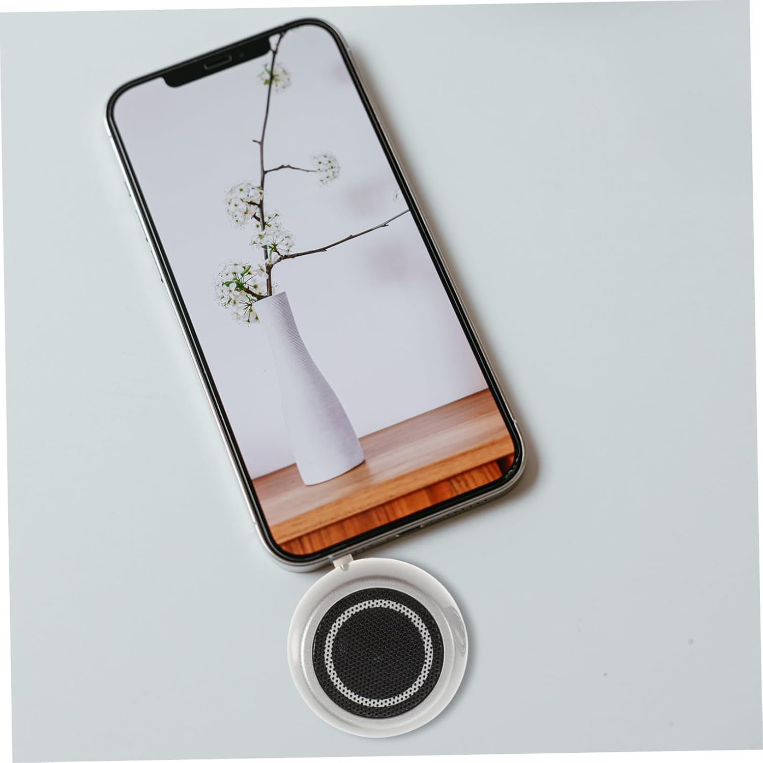 Portable Plug-In Mini Speaker with Aux Input and USB Rechargeable Battery, Silver Desktop External Loudspeaker for Phone and Laptop Use, Compact Bass Amplifier Suitable for Home