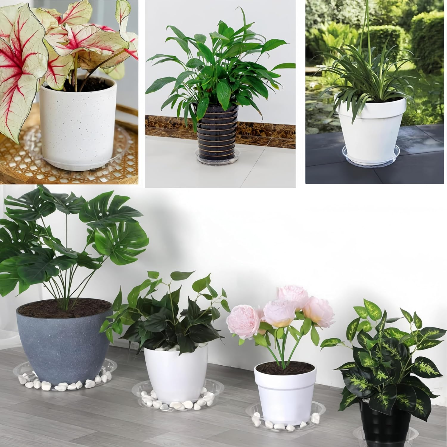 24 Pcs Clear Plastic Plant Saucer Drip Trays,Large Plant Plate Dish 6, 8, 10, 12 Inches Pot Saucers Flower Pot Set,With 25 T-Type Nursery Garden Labels,For Indoor Flower Pots and Planters image number 1