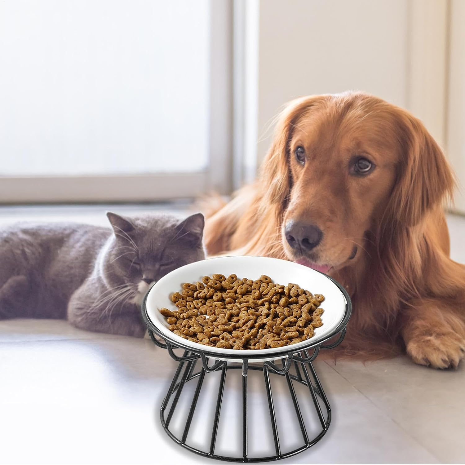 Elevated Cat Food Bowl - Ceramic Whisker Friendly Ceramic Elevated Pet Foods Bowls, Cat Bowl with Metal Stand | Kitten Dish Pet Food and Water Feeding Station for Indoor Kitty Small Dog image number 4