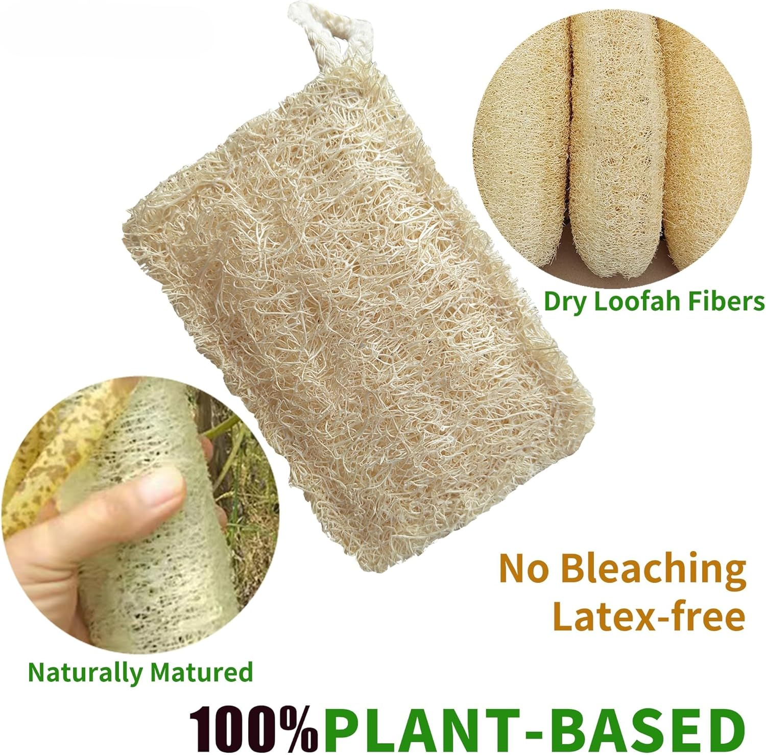 Natural Loofah Sponge 2-Pack &ndash; Small Compact Vegetable Fiber Bath Scrub & Kitchen Sponge, Gentle Exfoliating, Eco-Friendly, Biodegradable image number 3