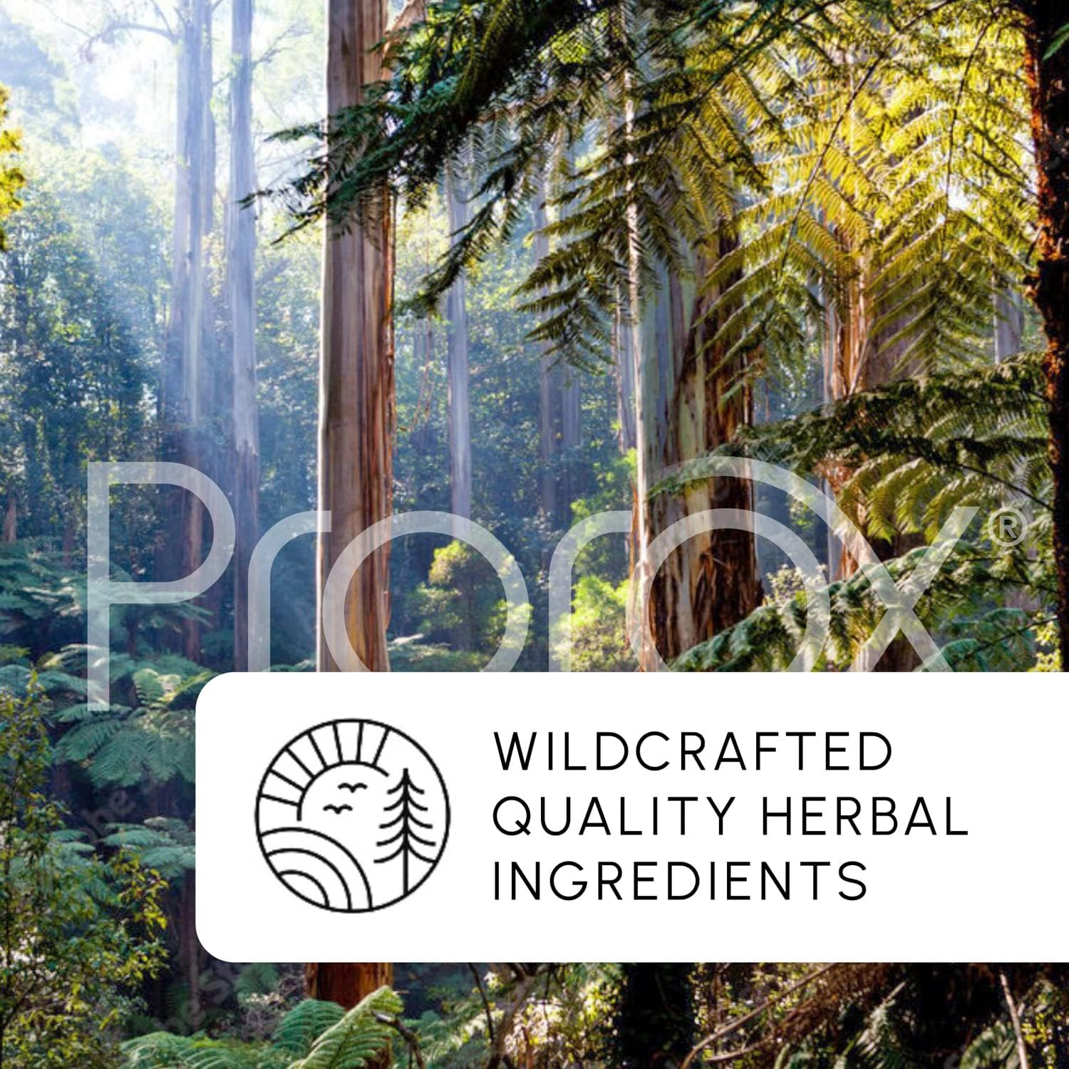 PROROX Healthy Prostate Bladder Control, Prostate Supplements for Men, Supports Healthy Prostate and Bladder Health, Contains Saw Palmetto, Reduces Urgency, 60 Vegetarian Capsules image number 5