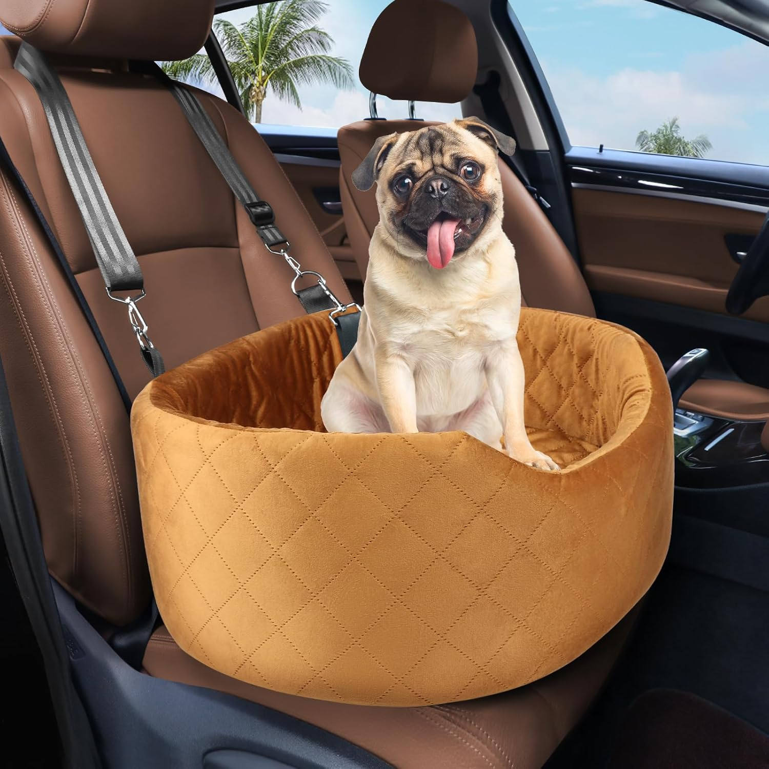 Dog Car Seat for Small & Medium Dogs, Elevated Dog Booster Seat, Detachable and Washable Pet Car Seat for Dogs up to 35Lbs, Dogs Travel Bed with Thick Memory Foam for Front and Back Seats - Black