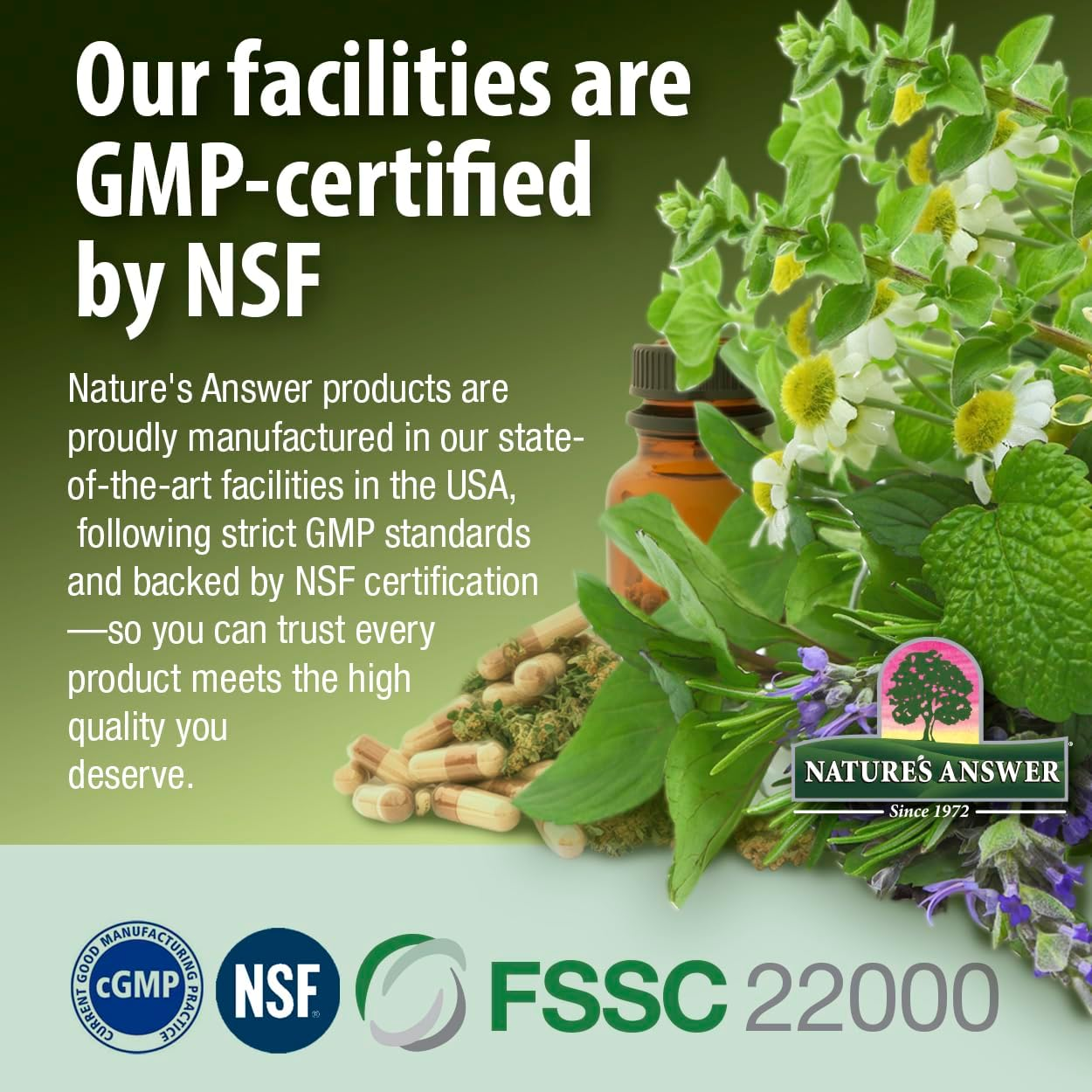 Nature'S Answer Natures' Answer Alcohol-Free Mullein Leaf, 1-Fluid Ounce image number 2