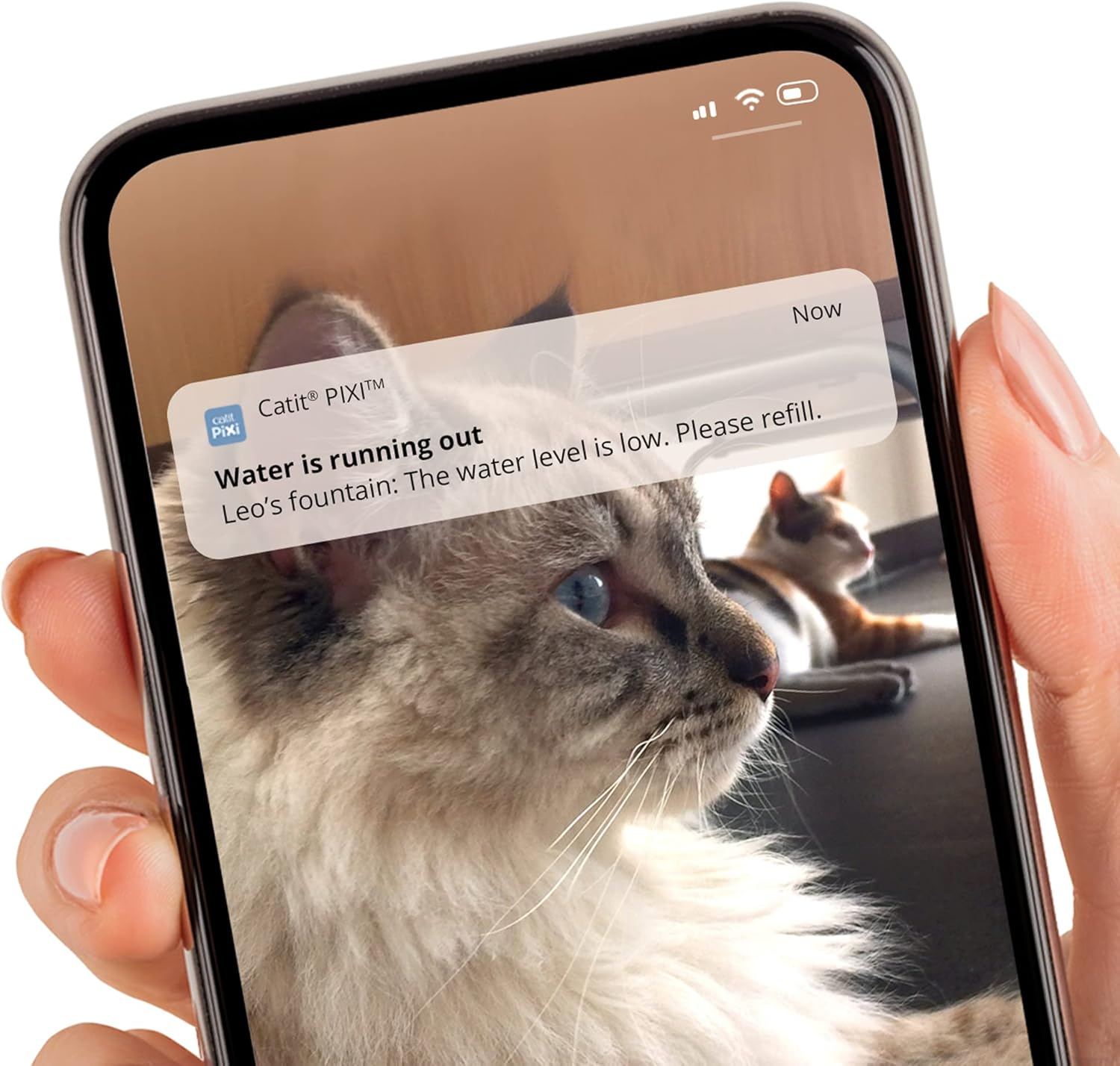 Catit Pixi Smart Cat Drinking Fountain image number 3