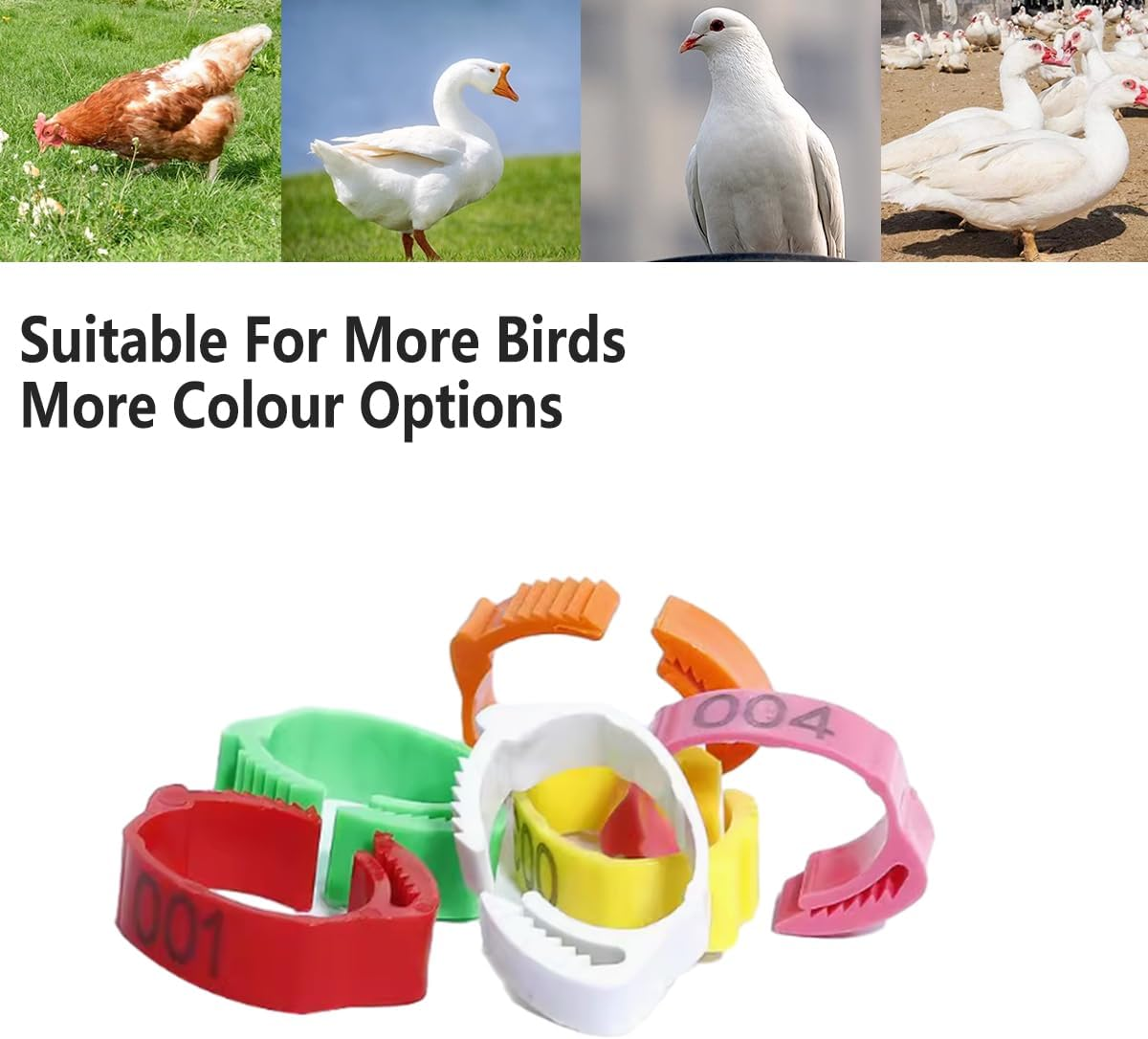 AIMALL 100Pcs Adjustable Numbered Poultry Leg Rings 001&ndash;100 Snap Lock ID Bands 0.71&ndash;1.02In for Chicken Duck Goose Pigeon Lightweight Plastic Bird Tags - Red image number 5