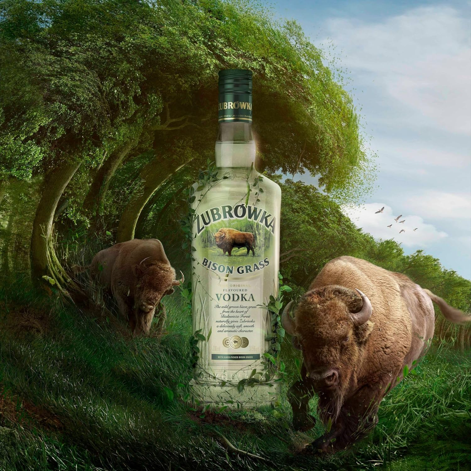Zubrowka Bison Grass 700Ml image number 2