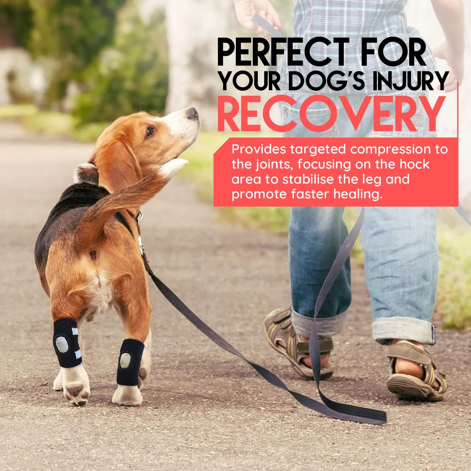 Dog Rear Leg Braces [Pair] Wraps with Safety Reflective Straps for Joint Injury and Sprain Protection, Wound Healing, Arthritis Pain Relief and Increased Stability for Large Dogs &ndash; Adjustable (XS) image number 5