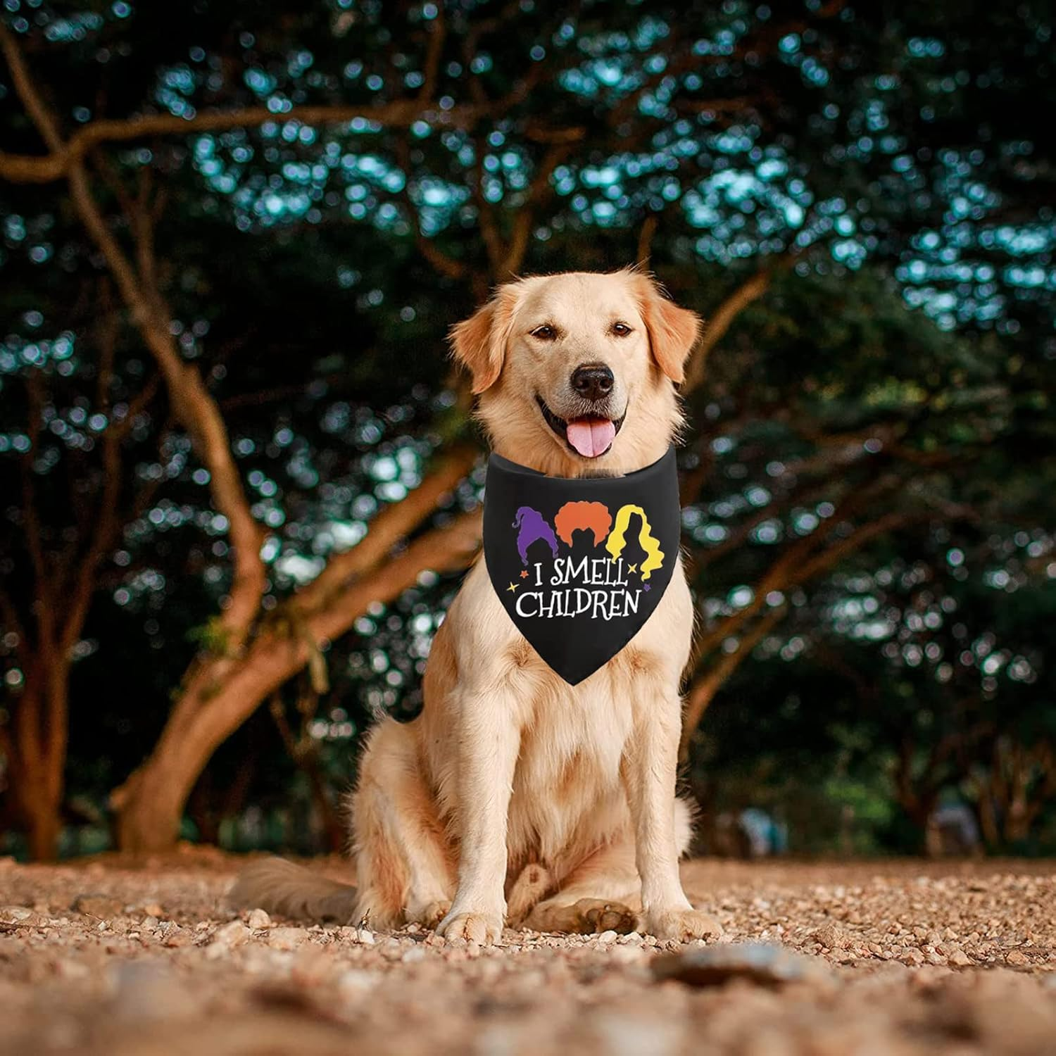 Halloween Hocus Pocus Dog Bandanas - I Smell Children Witch Dog Scarf - 2 Pcs Adjustable Sanderson Sisters Holiday Party Triangle Reversible Pet Bandanas for Small Medium Large Dogs image number 3