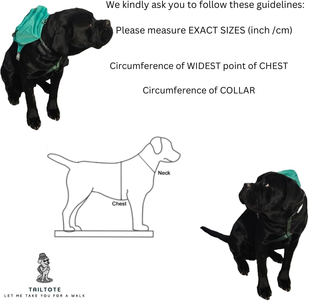 Dog Hiking Backpack with Harness and a Large Pouch for Treats,Toys, and Poopbags Holder. Made from Waterproof Material, Ideal for Puppy Daycare or Everyday Walks(M) image number 1