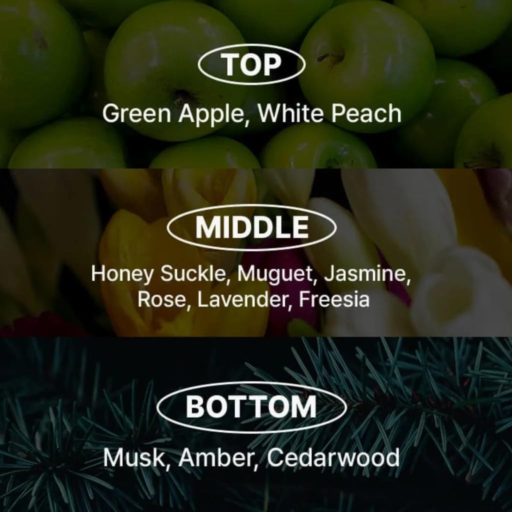 Mise En Scene Miseenscene Damage Care Rose Protein Shampoo 680 Ml image number 2