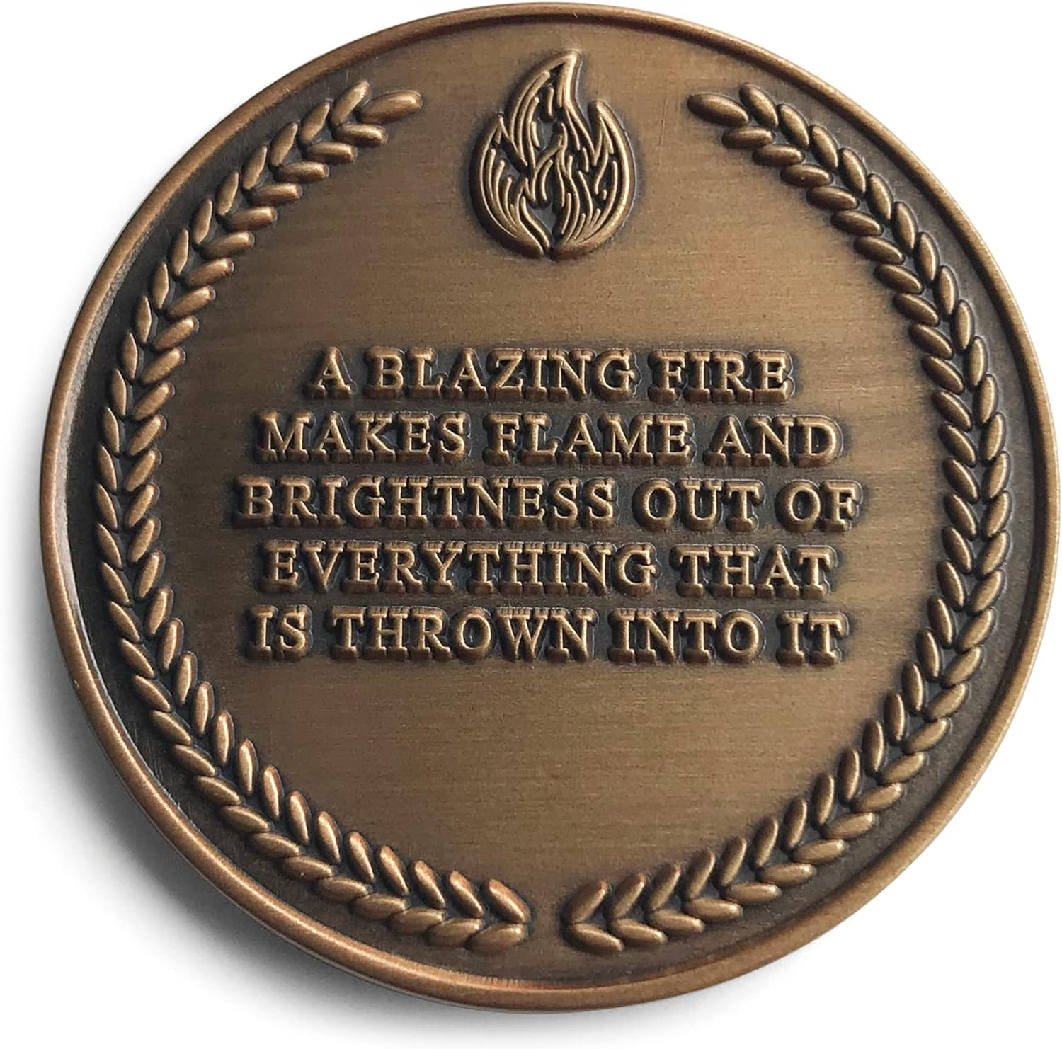 STOIC STORE UK Amor Fati Coin- Brass Reminders for Its Principles - Stoic Coin - Challenge Coin for Daily Stoic Practice and Journaling image number 1