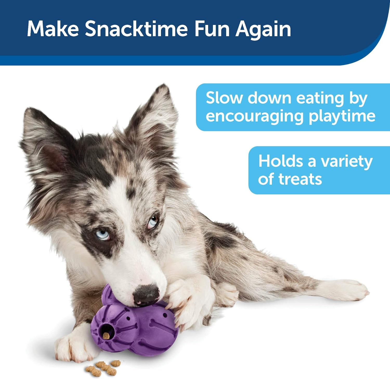 Petsafe Busy Buddy Barnacle - Dog Chew Toy - Treat Dispensing Dog Toys image number 4
