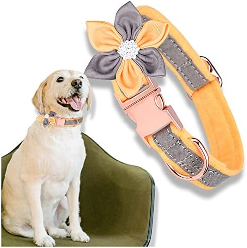 Kalevel Floral Dog Collar Breakaway Large Personalized Cat Collar Elegant Pet Collar with Flower Accessory for Rottweiler Pugs Decoration Pink Blue