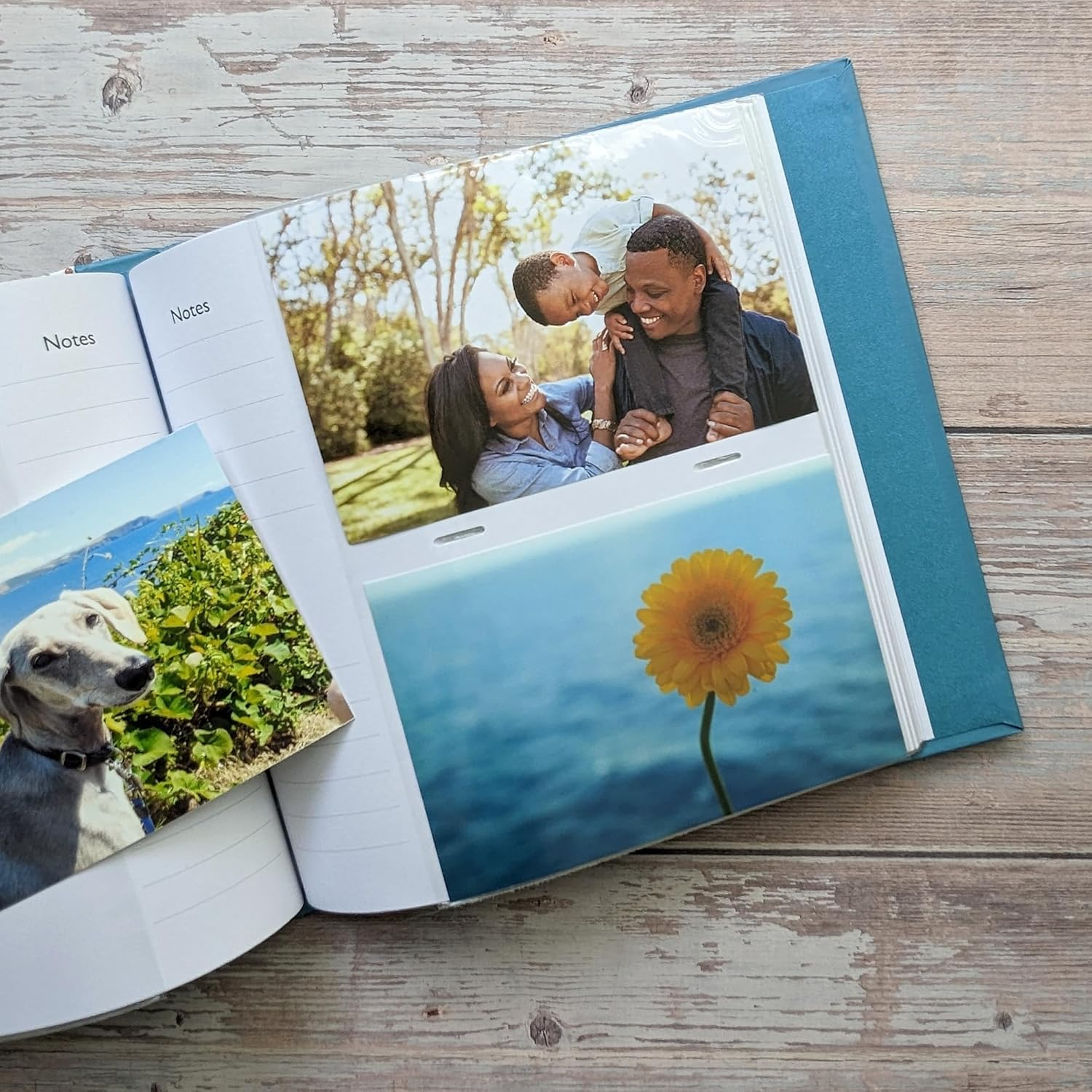 Robert Frederick the World of Beatrix Potter Peter Rabbit Chunky Photo Album 100 6X4 Inch Photos image number 4