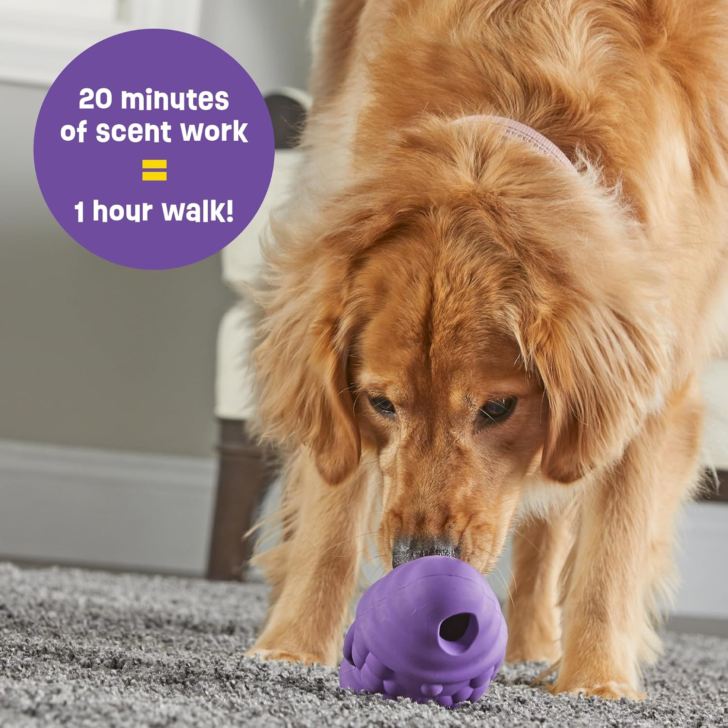 Brightkins LER9391 Dog Toy, Treats Mikke! Gnome (Large), for Medium and Large Dogs, Nosework for Snacks, Authentic Product image number 2