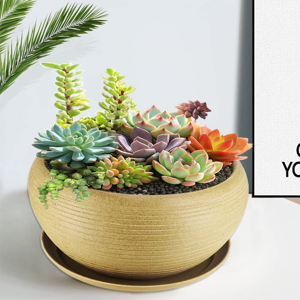 MUZHI 10&rdquo; round Large Ceramic Bonsai Bowl Planter，Clay Succulent Plant Pot Container with Saucer image number 1
