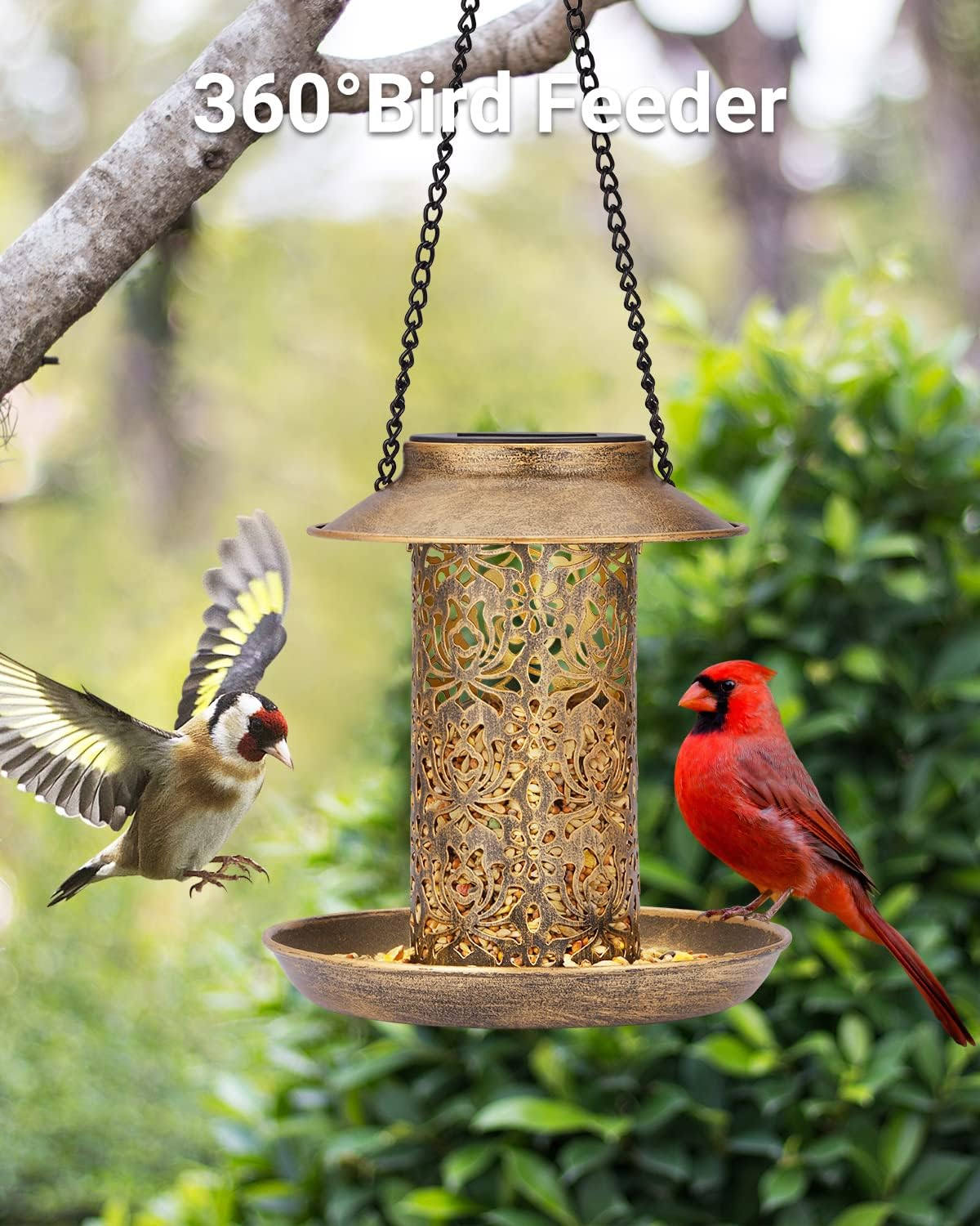 SWEETFULL Solar Bird Feeder for Outdoors Hanging, Metal Wild Bird Feeder for Cardinals Solar Garden Lantern with S Hook as Gift Ideas for Bird Lovers (2Lbs Heavy Duty Weather Resistance Birdfeeders) image number 2