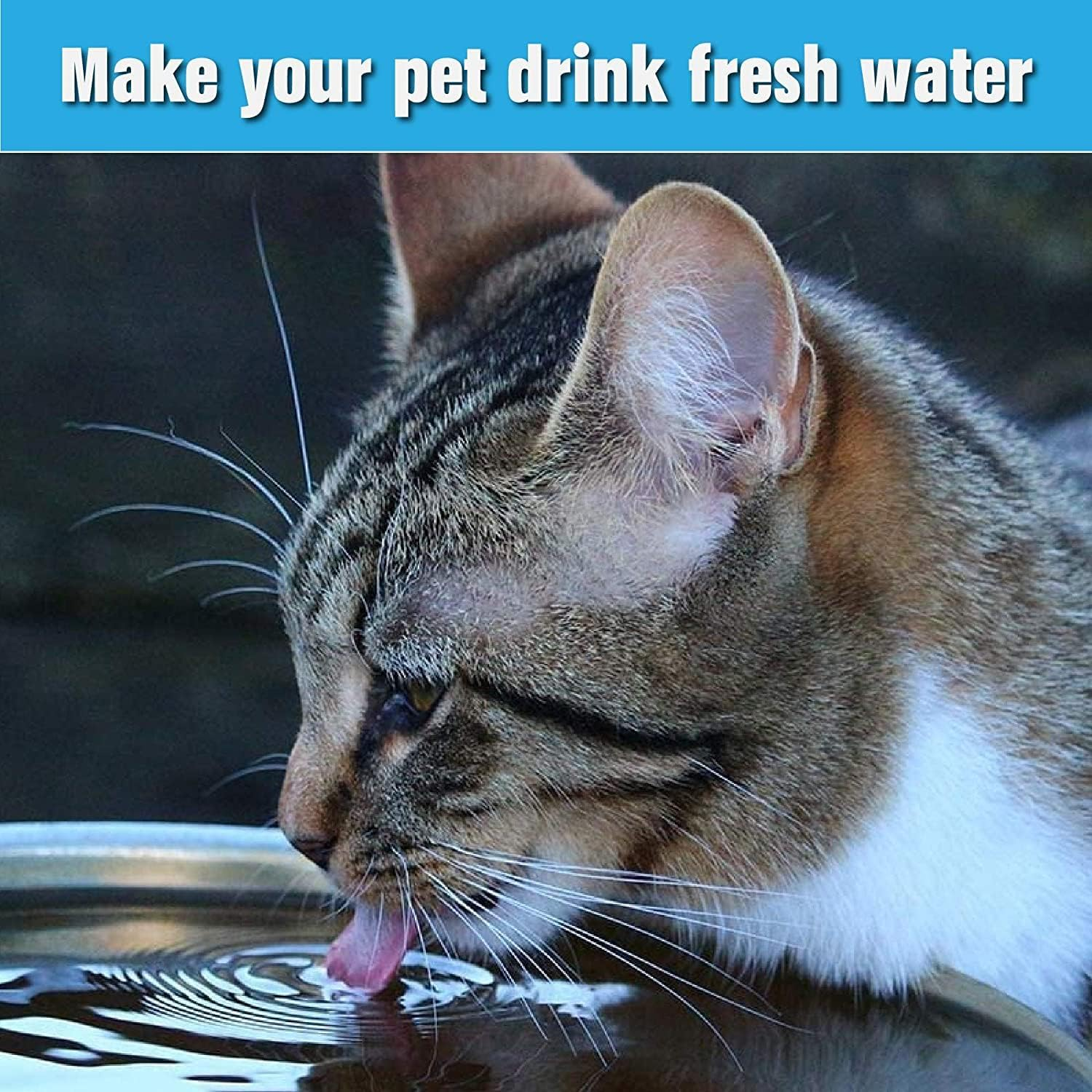 NEOUZA Premium Charcoal Water Filter Replacement Compatible with Drinkwell Platium Pet Fountain(8-Pack),And a Fountain Cleaning Kit