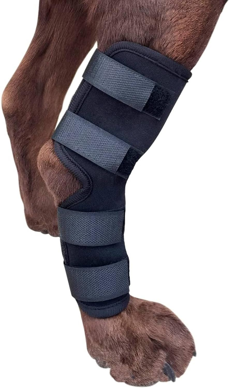 Leg Brace, Dog Canine Rear Leg Hock Brace, Joint Compression Dog Brace Wrap for Recovery, Protection Sprain & Injury Prevention, Knee Hock Ankle Extra Supportive for Dogs, 1 Pair (L) image number 4