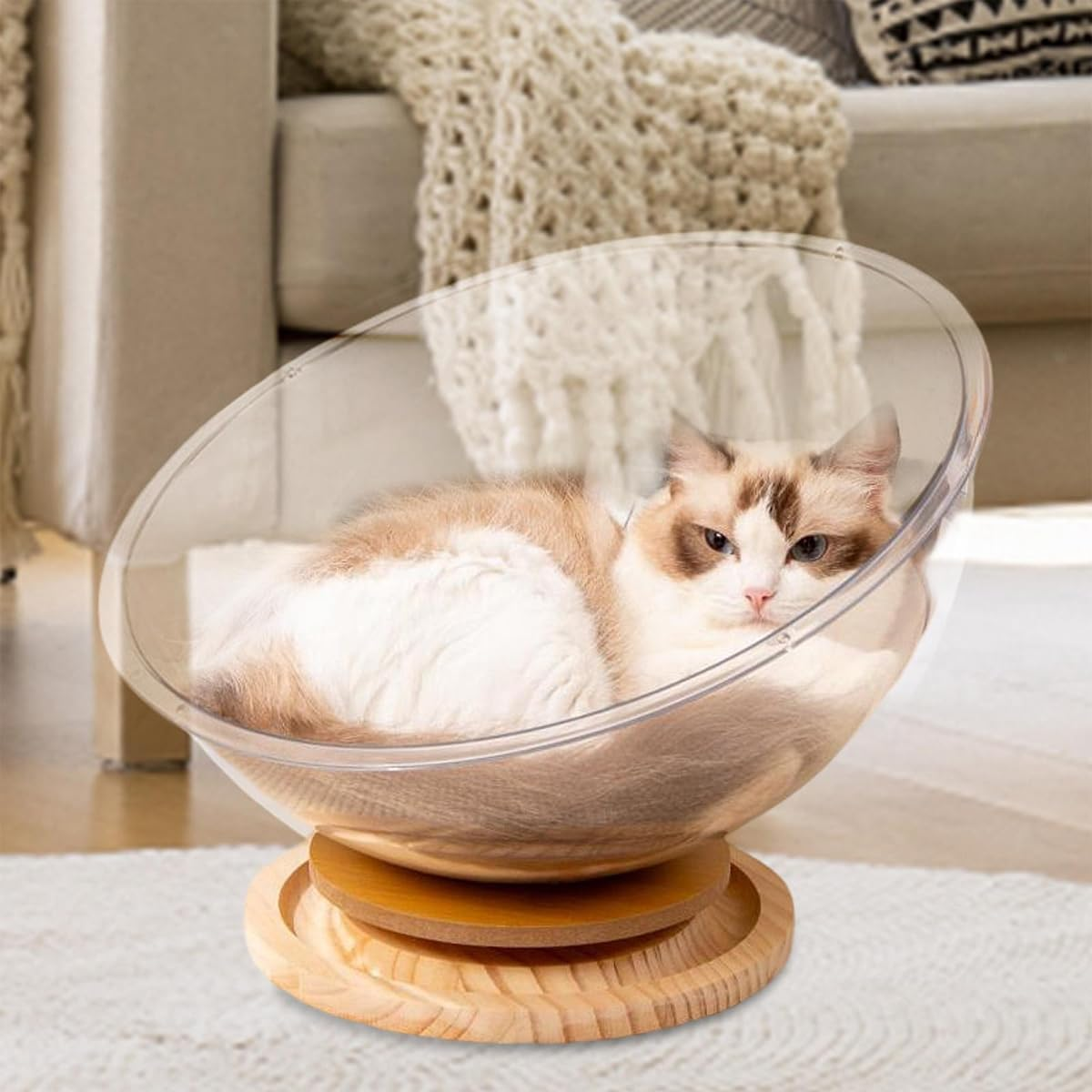 AIMALL Luxurious Space Capsule Cat Nest: 4-Season Acrylic Cat Bed with Integrated Play Turntable, 9.84" Universal Comfort & Modern Design image number 5